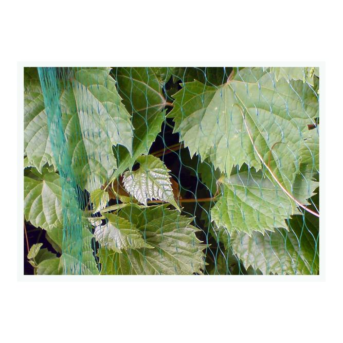 Filet anti oiseaux mailles 19 x 19 mm