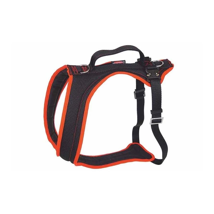 Dogs Fun Run Hundegeschirr Travel