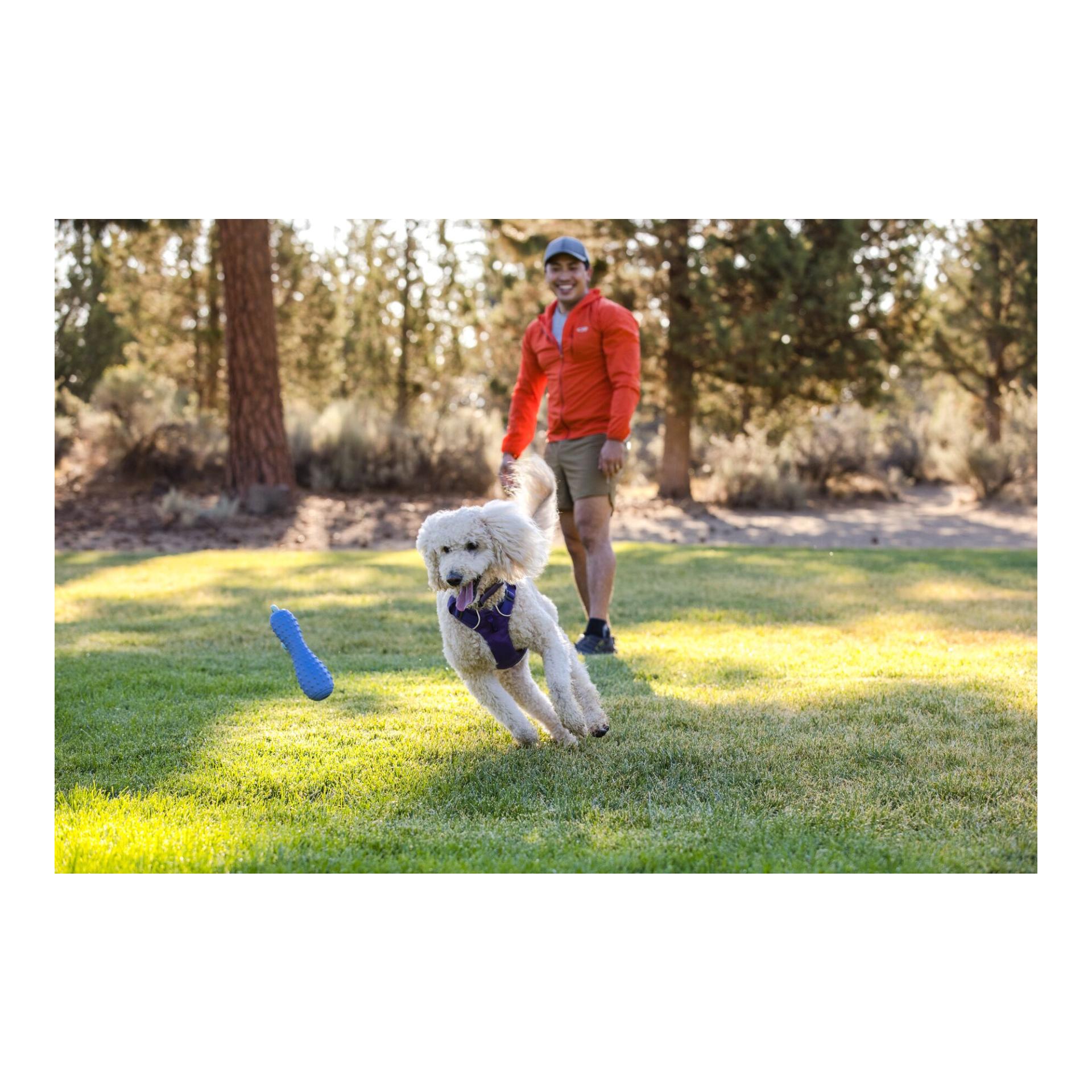 Ruffwear Gourdo™ Hundespielzeug