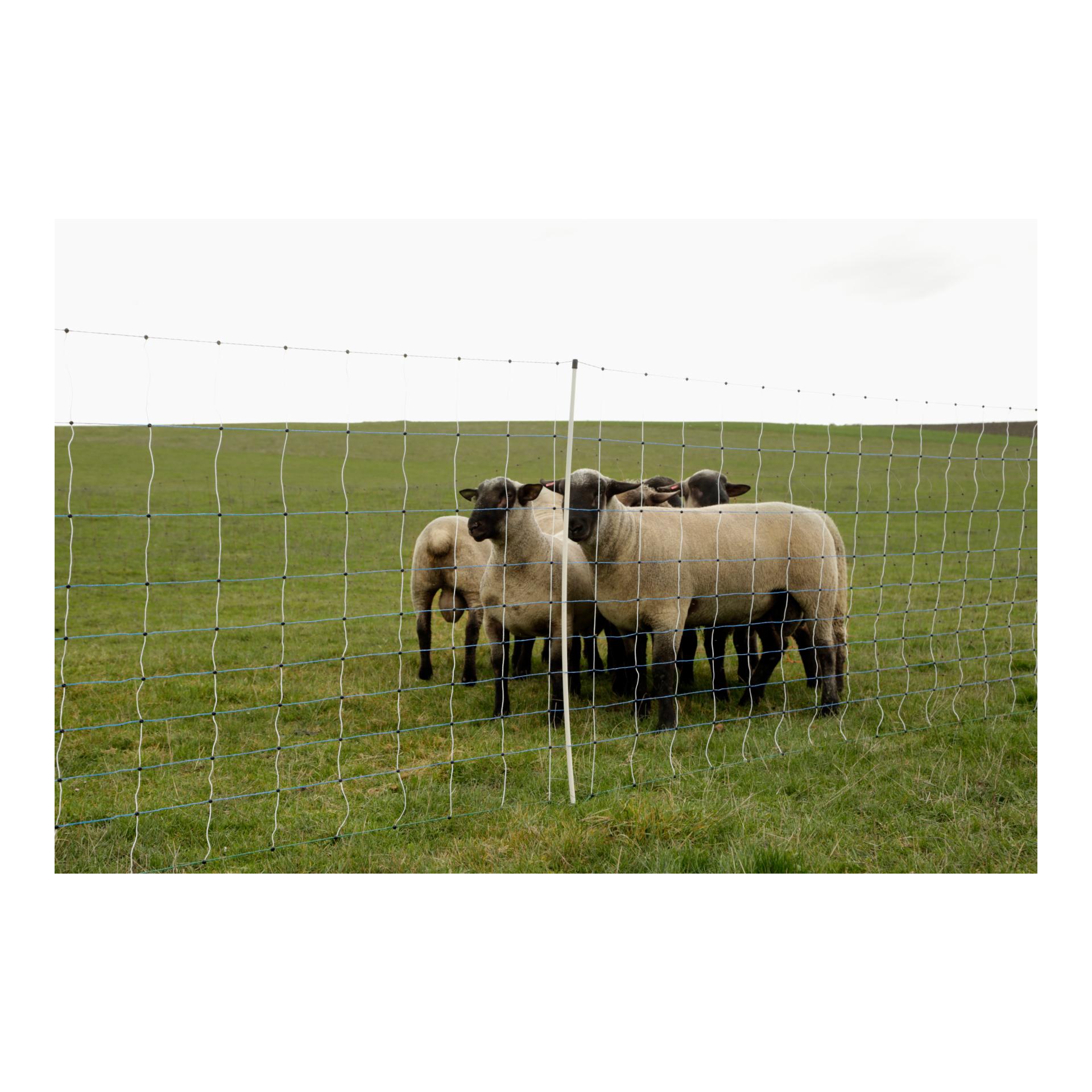 Wolfnet OviNet Maxi - 122 cm x 50 m