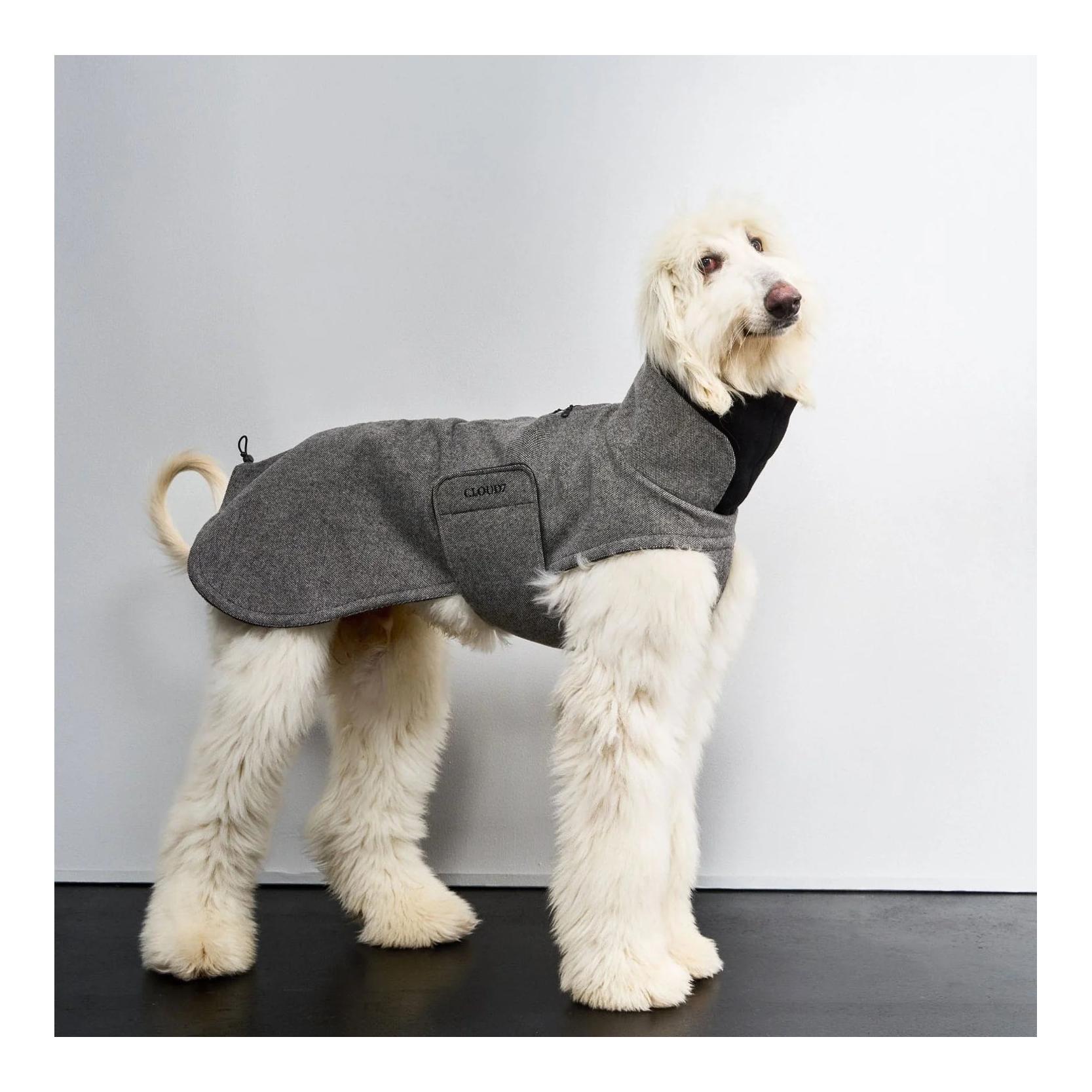 Winter Hundemantel Brooklyn long Windhund