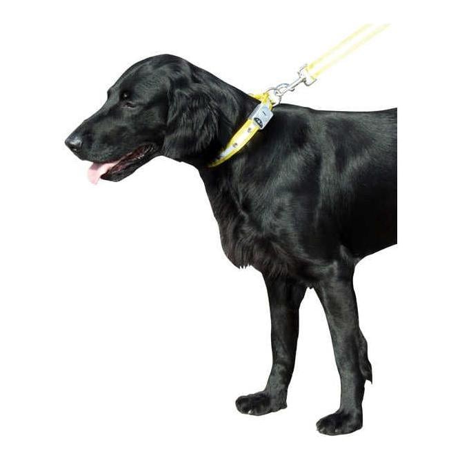 Image of Kerbl Halsband Flash & Reflex - Gelb - bei Hauptner.ch