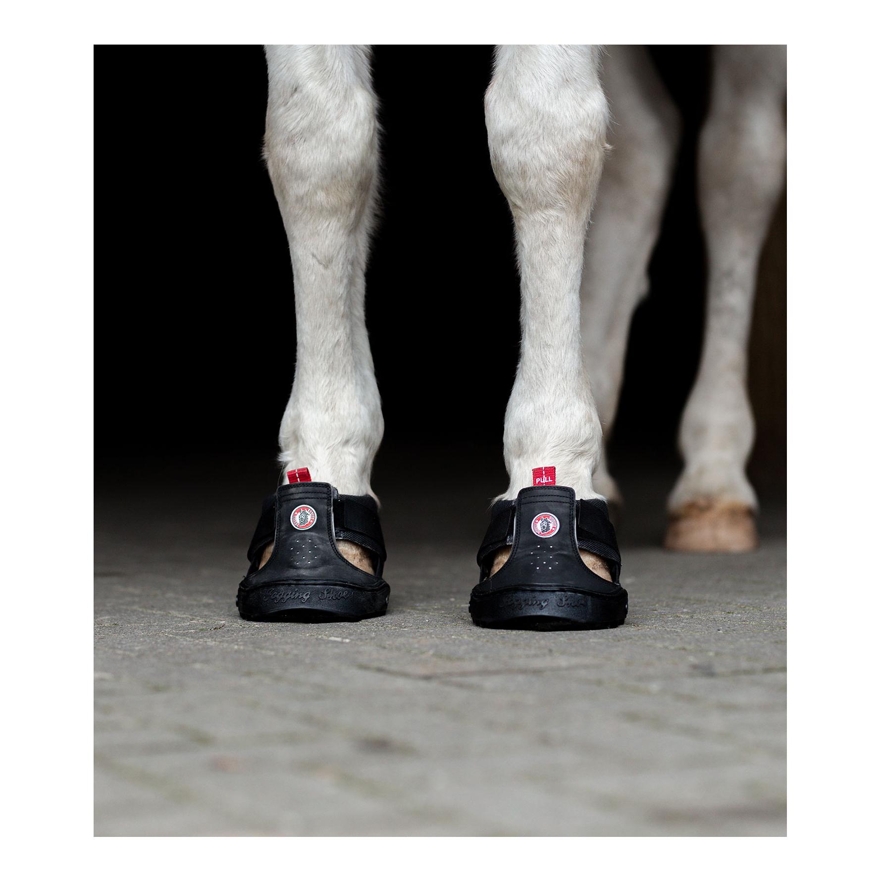 Equine FusionTrekking Shoe Slim