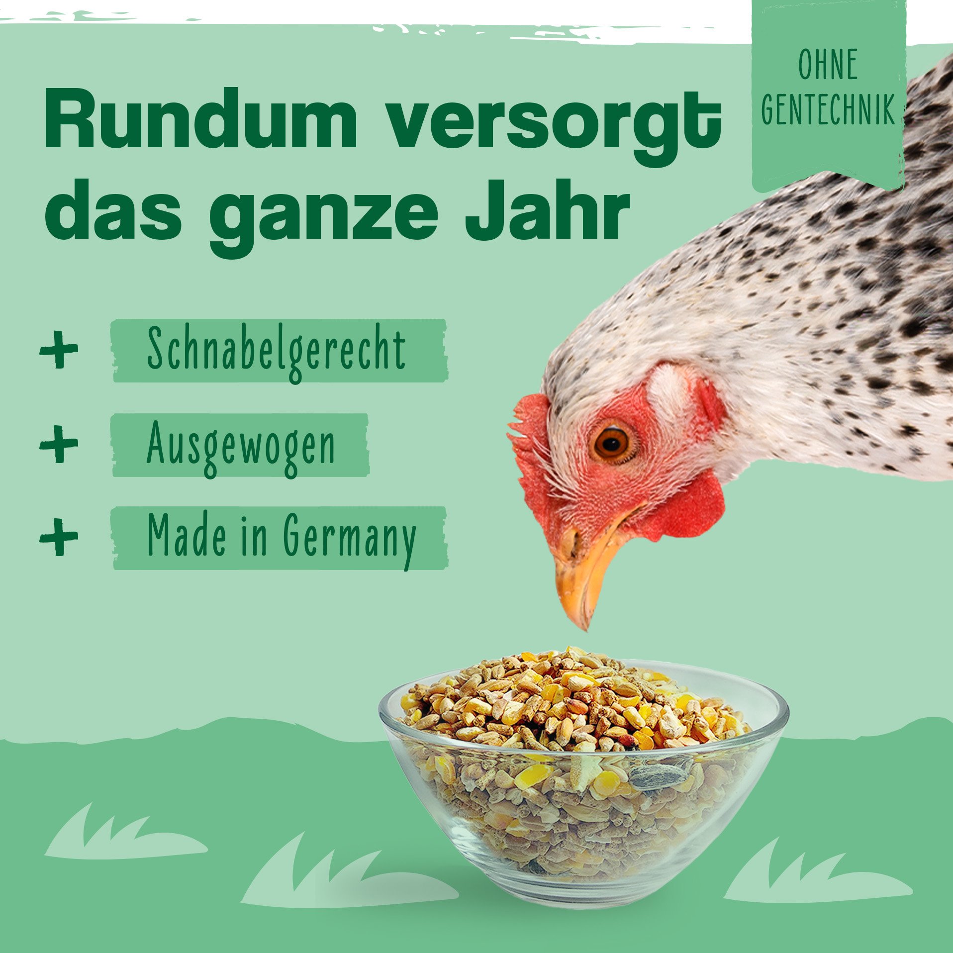 IdaPlus Mélange alimentaire pour poules - Aliment complet équilibré - Mélange pour toute l'année
