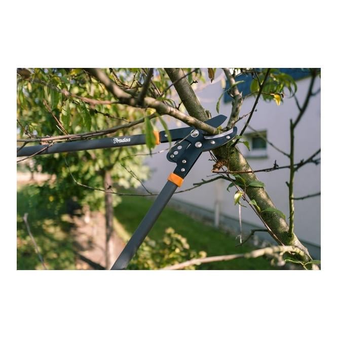 Sécateur pour branches avec entraînement SÉRIE V, lame à enclume