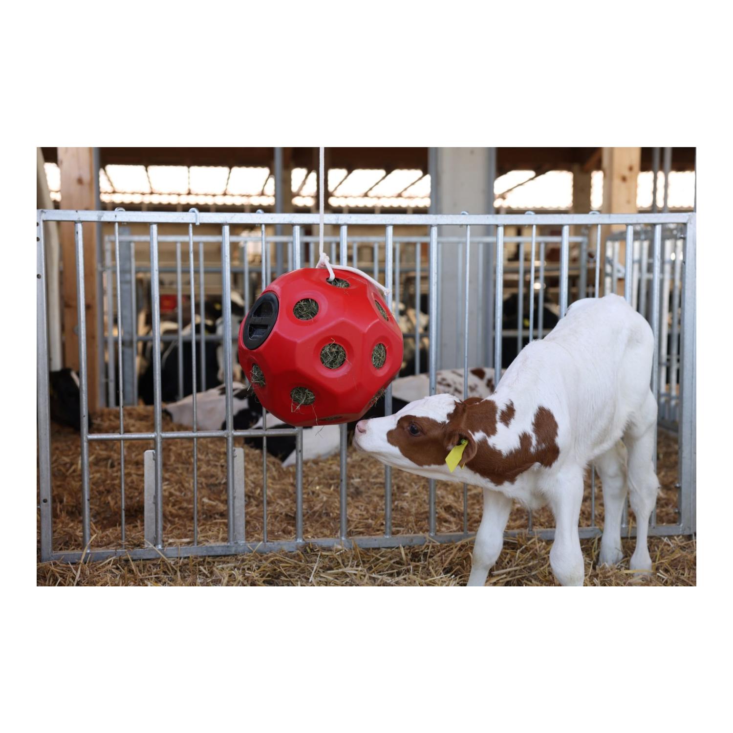 HeuBoy Futterspielball - rot