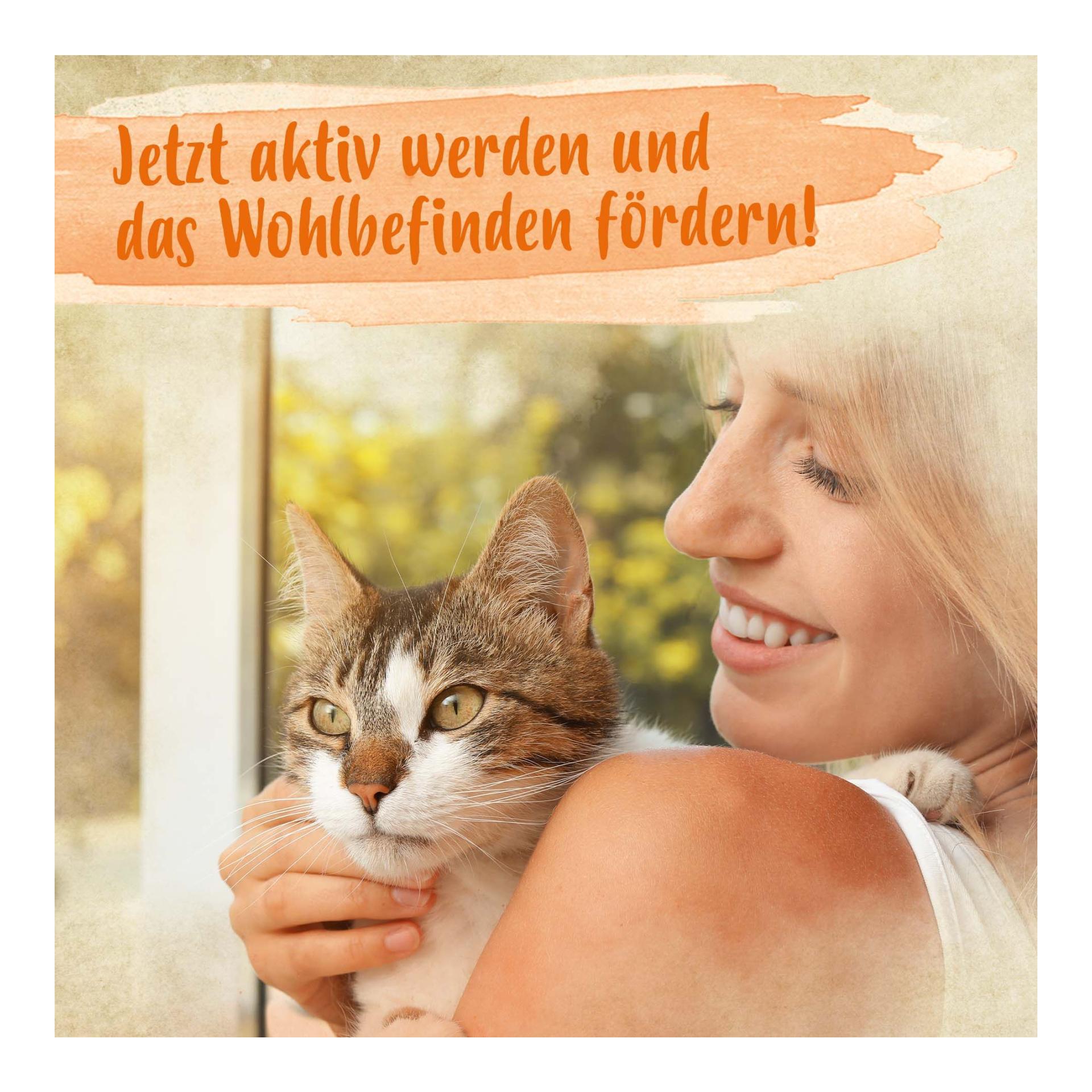 Grünlippmuschelpulver - Nahrungsergänzung