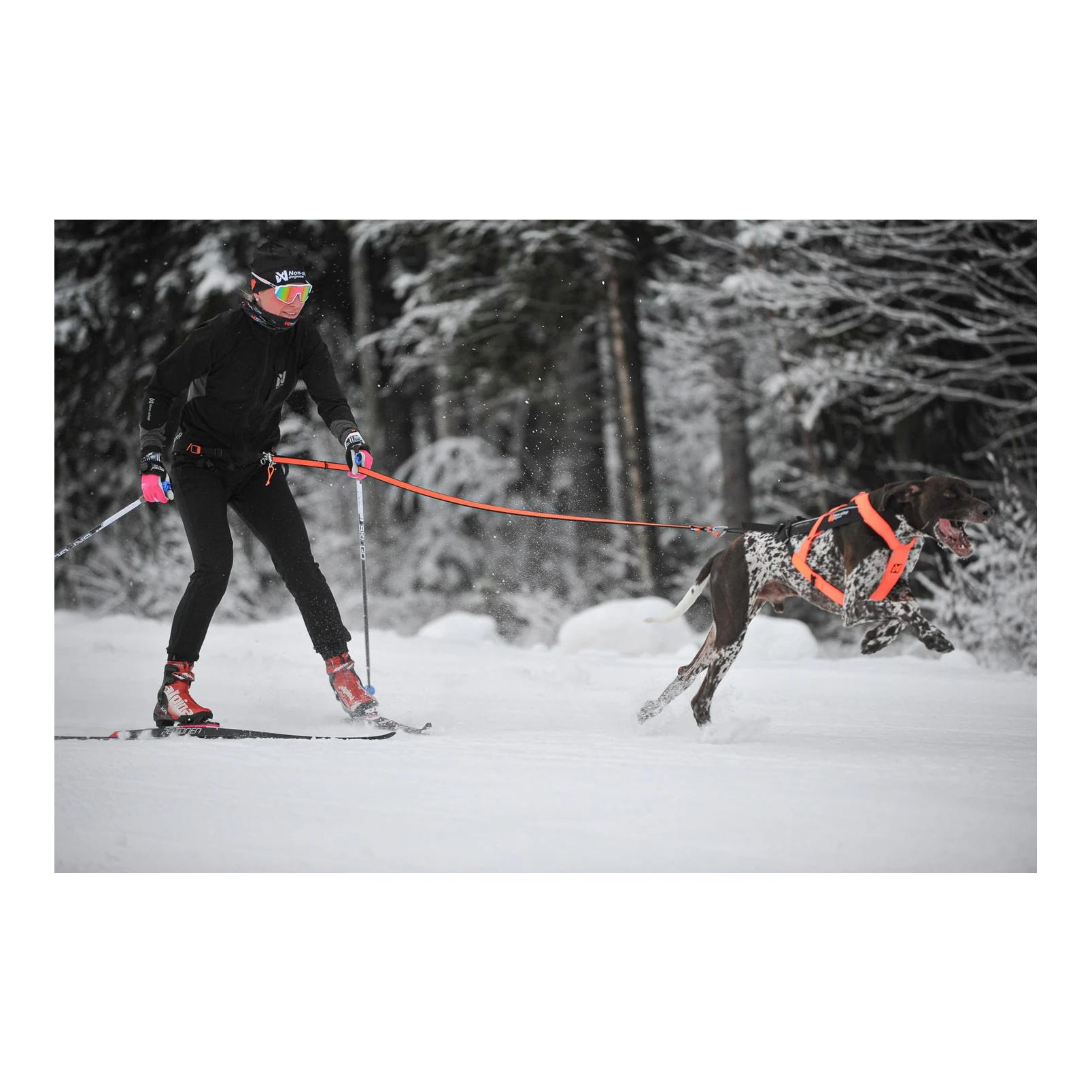 Løype Belt Pro - Ergonomischer Hundegurt für Skijöring