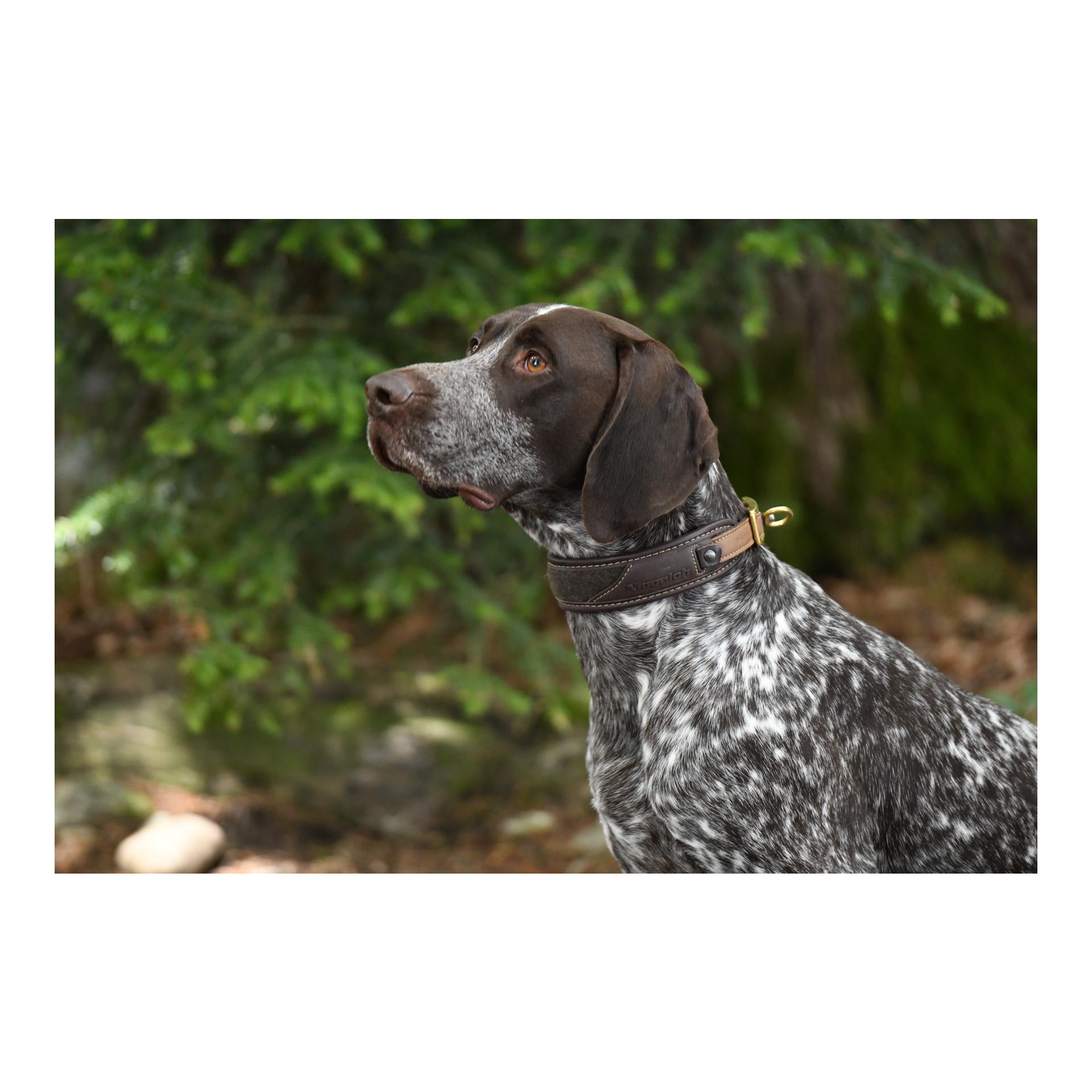 Halsung Classic Loden