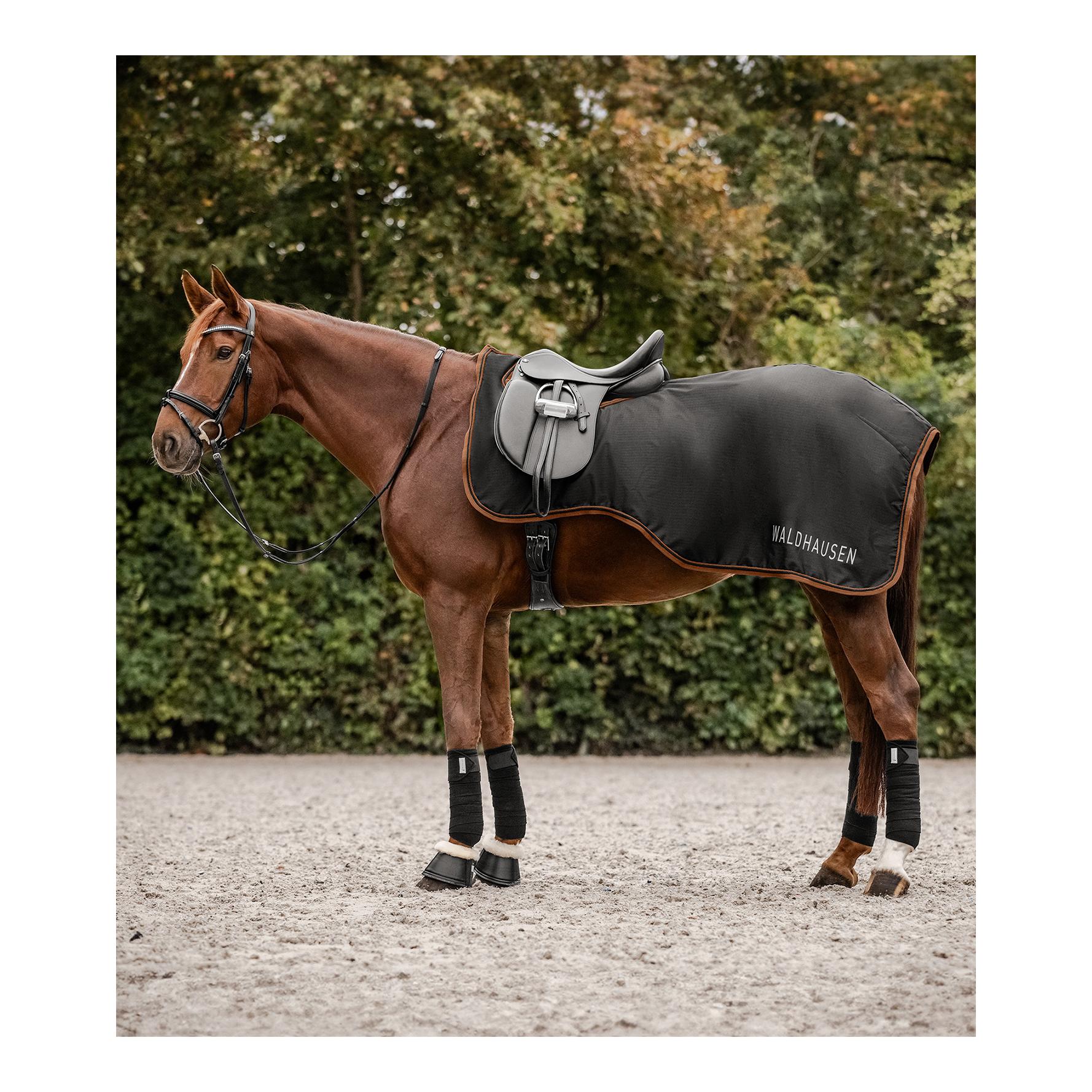 Regenset Regenmantel Fehmar + Regen Ausreitdecke Perth 50g