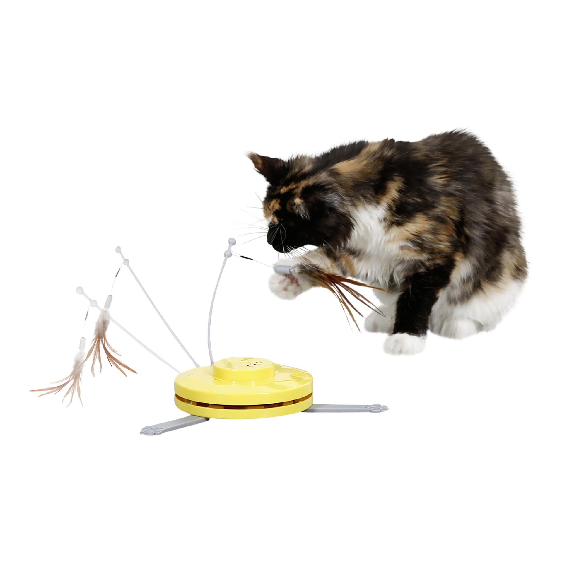 Katzenspielzeug automatisch 2in1