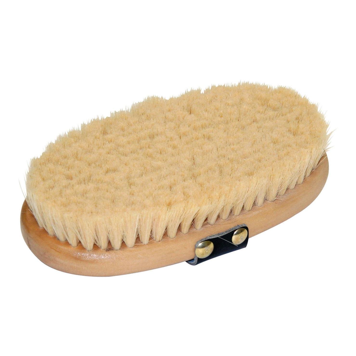 Pferdekardätsche Brush&Co