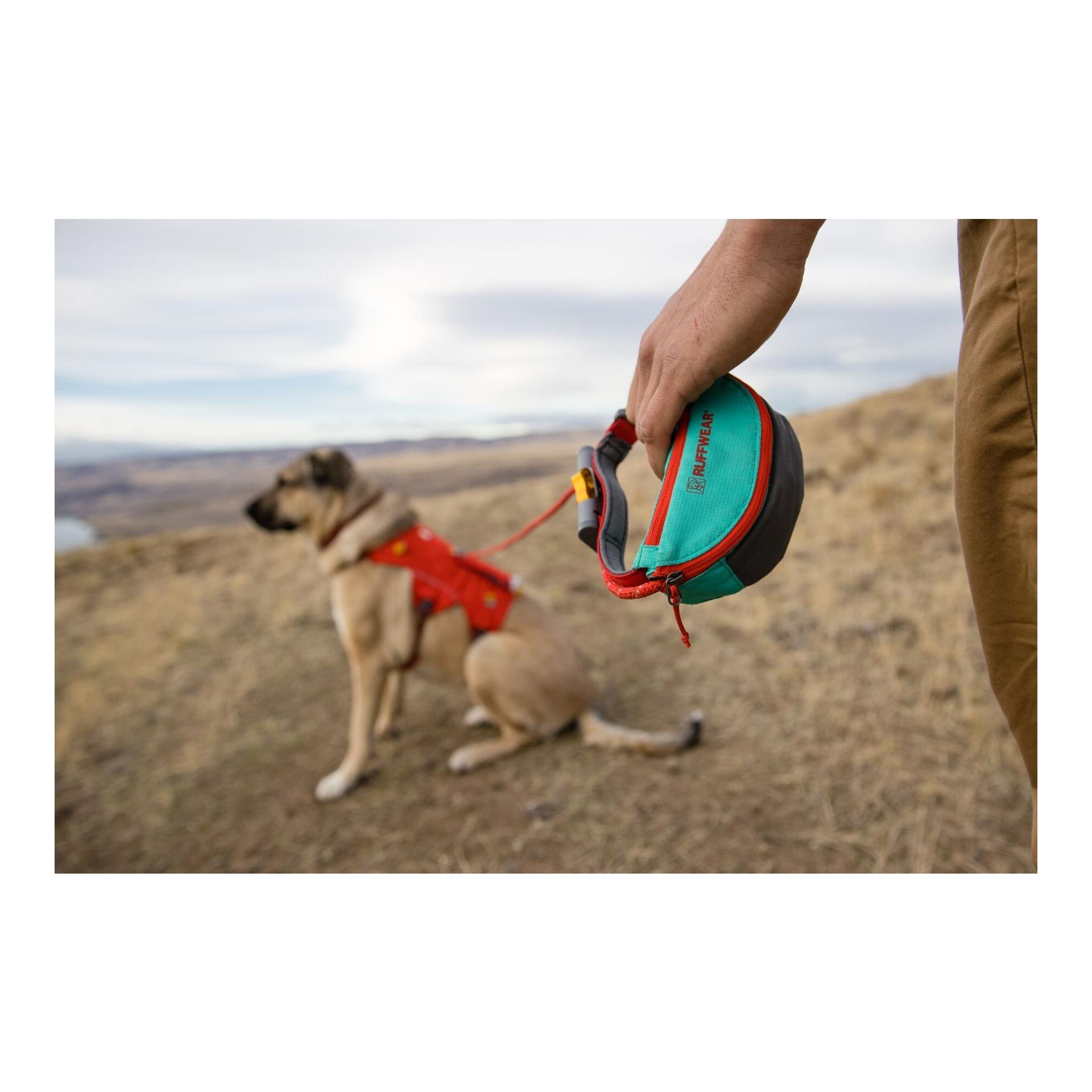 Hitch Hiker™ Leine