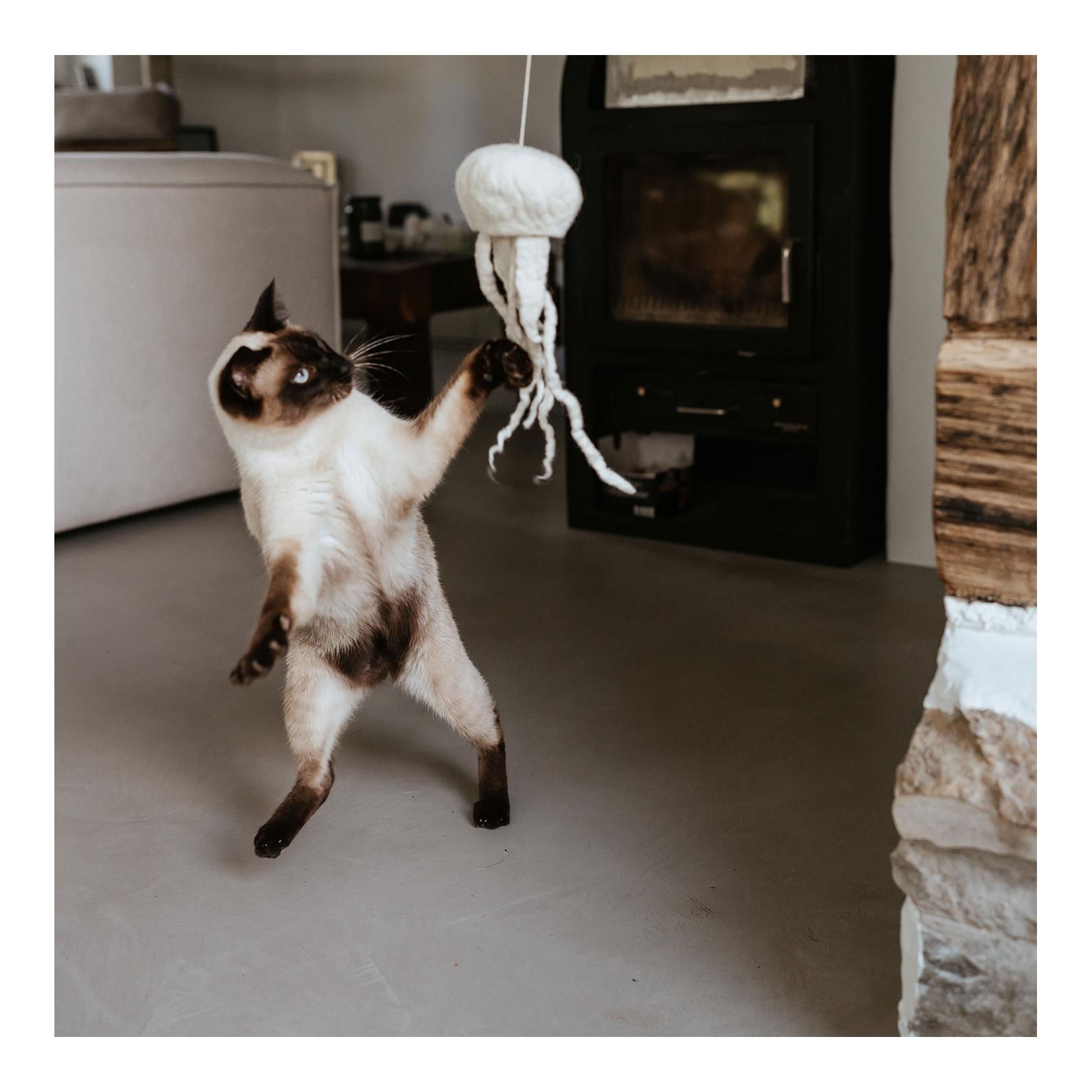 Katzenspielzeug Kwalle Karl 