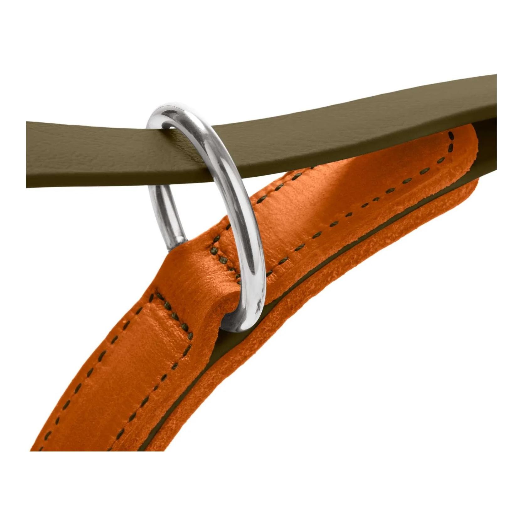 Verstellbare Führleine Wolmar BioThane® x Leder