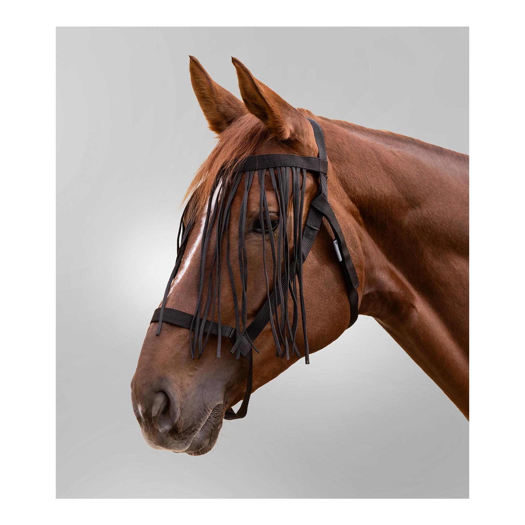Weidehalfter mit Fliegenfransen