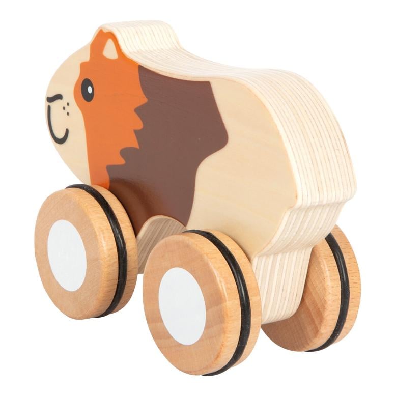 Nachziehtier Meerschweinchen