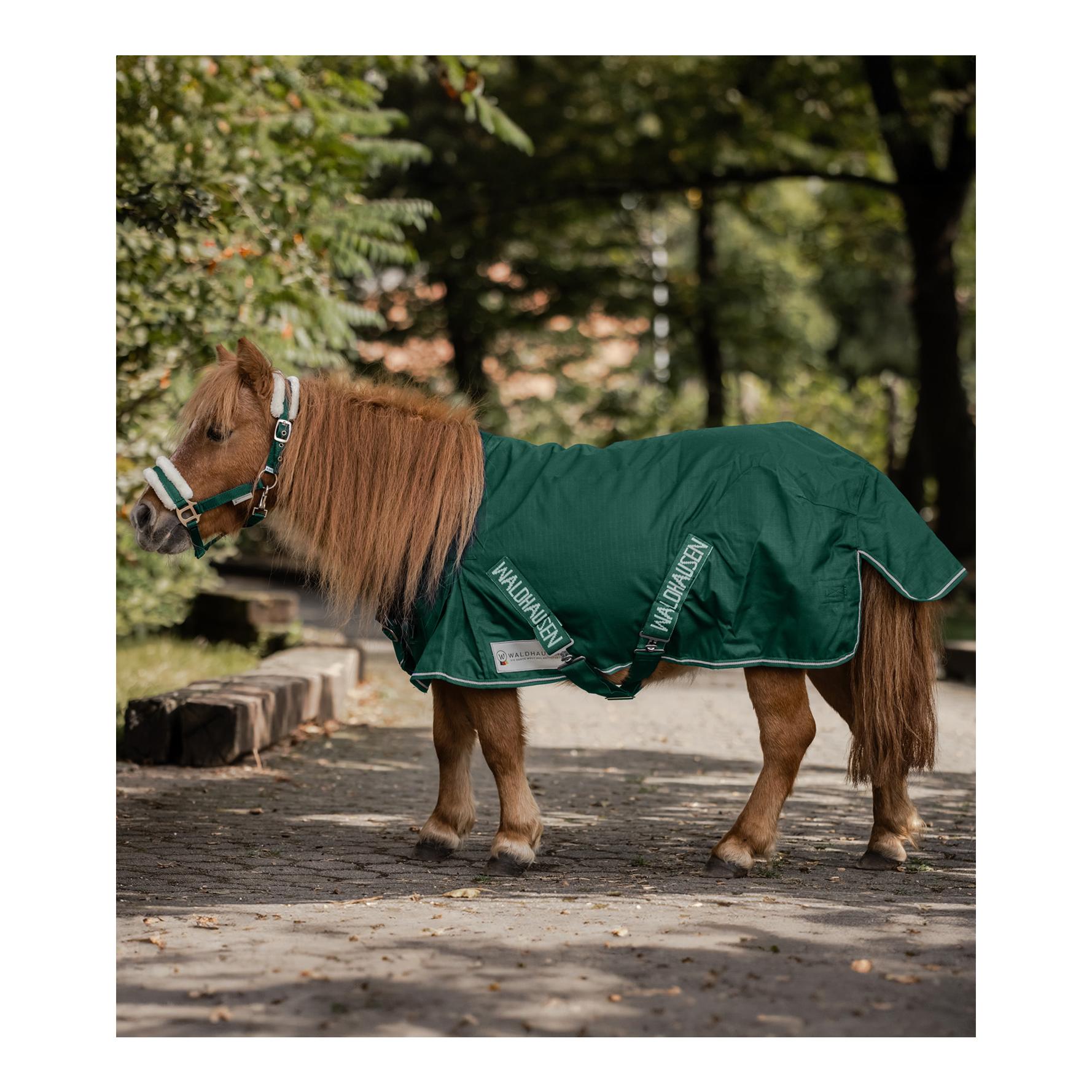 Regendecke für Shettys - tannengrün