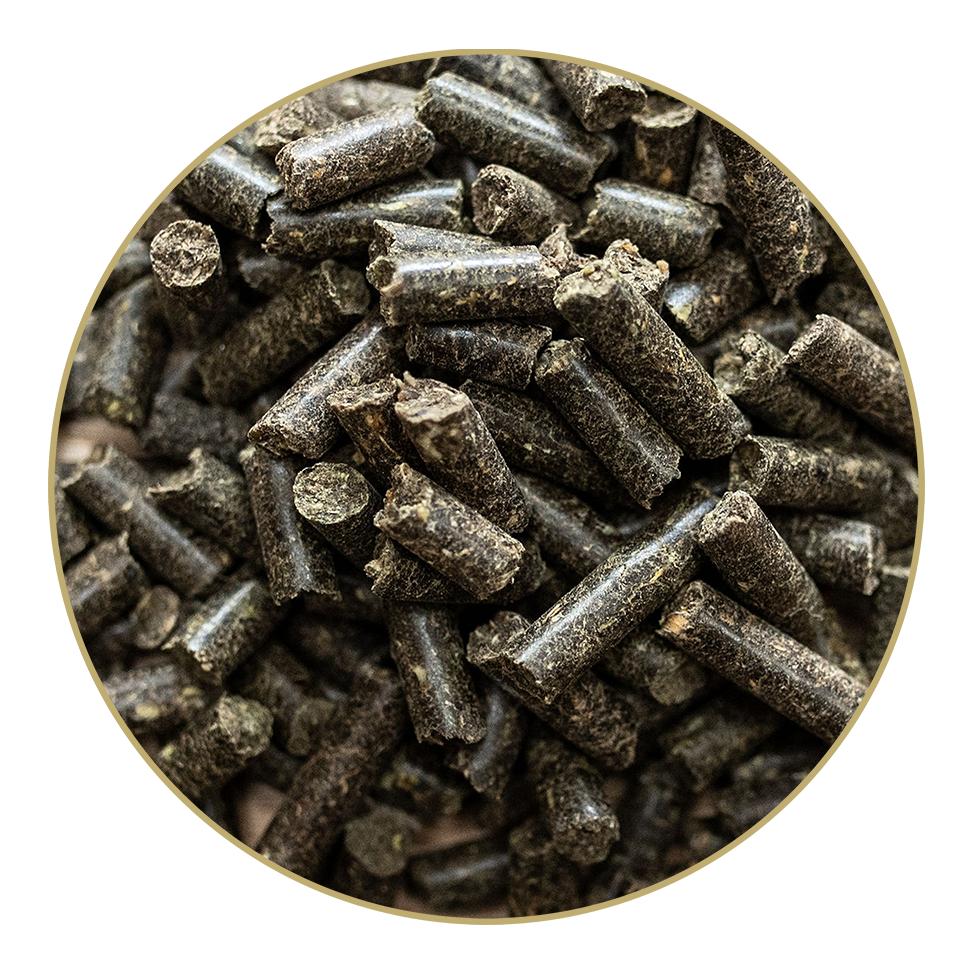 St. Hippolyt Mucolyt Atemwegskur