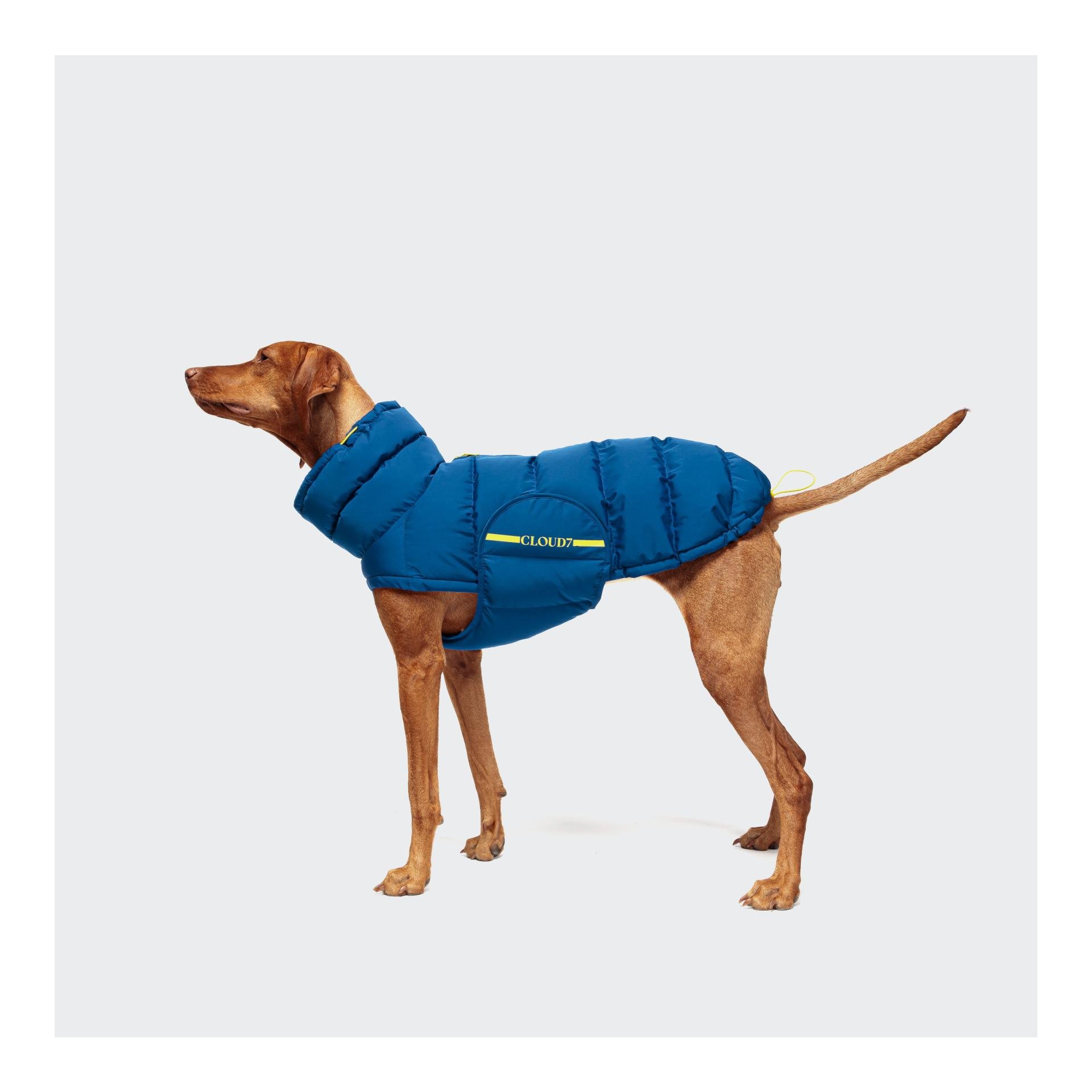 Cloud 7 Hundemantel Alaska
