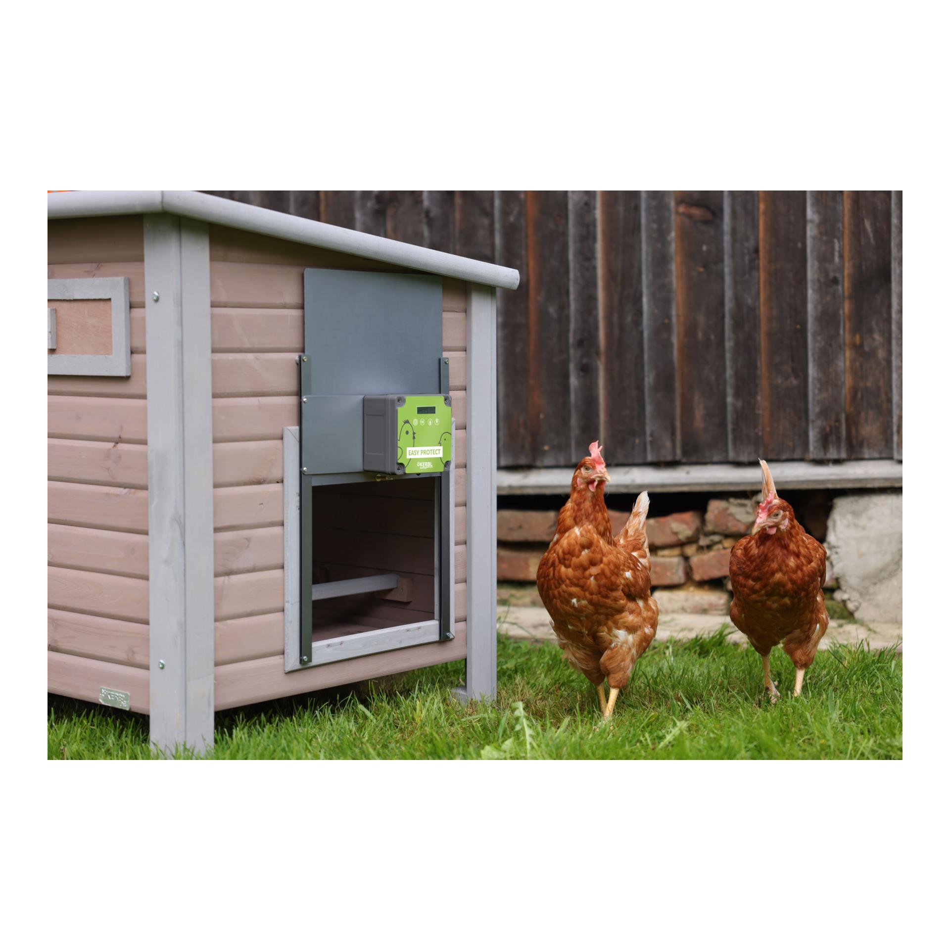 Automatische Hühnertür Komplettset EasyProtect