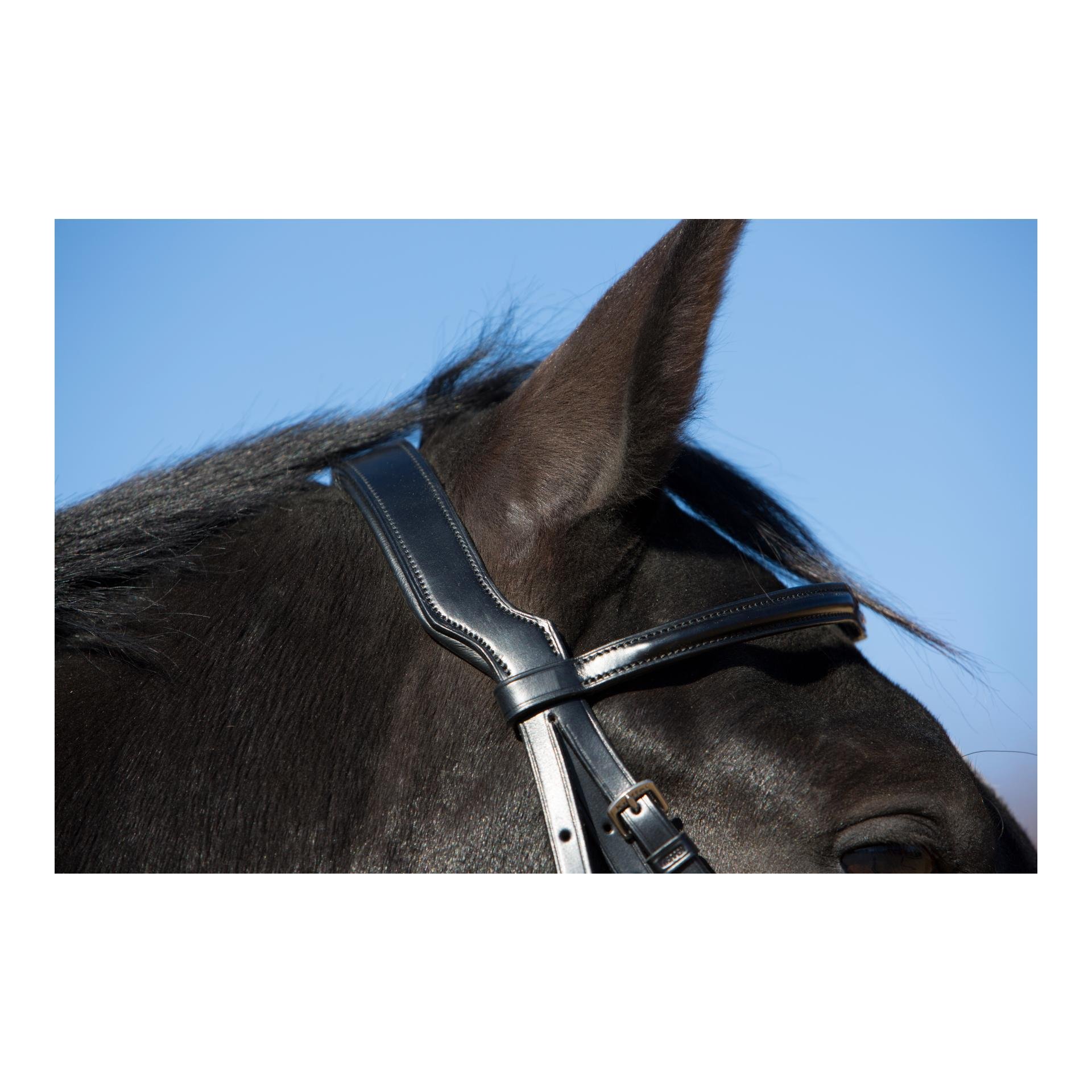 Black Friday !! Bride Melina - noir