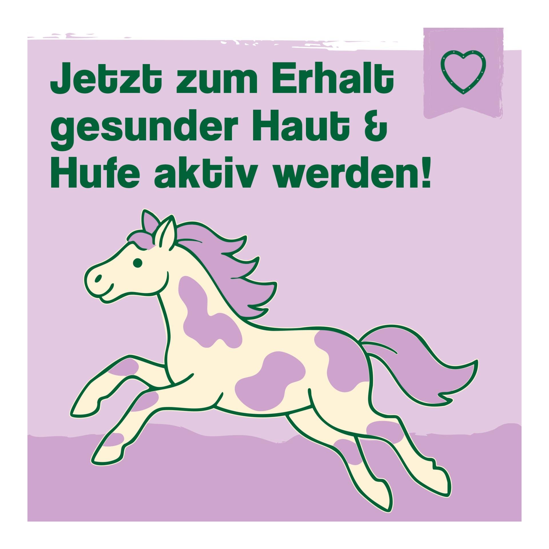 IdaPlus Mauke Spray für Pferde - schnelle Hilfe bei Mauke, Strahlfäule & Ekzemen 