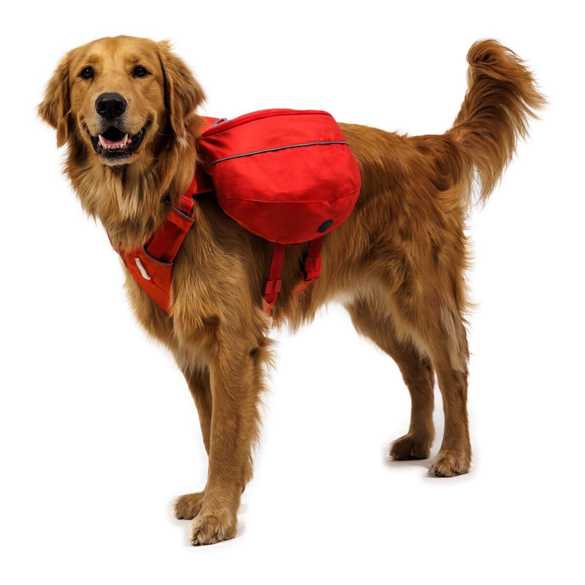 Ruffwear Palisades™ Pack - Sac à dos pour chien