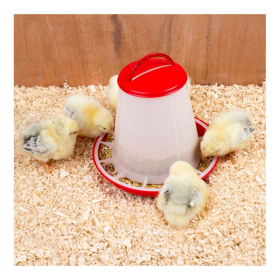 Mainer Mangeoire pour volailles avec couvercle