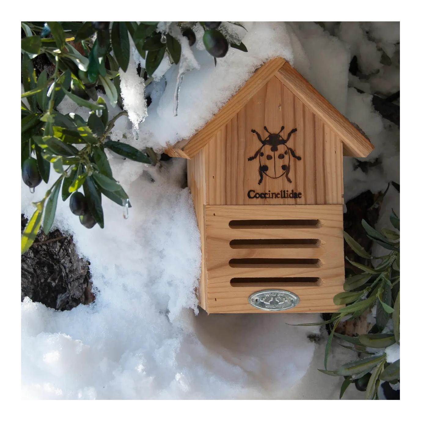 Marienkäferhaus mit Silhouette