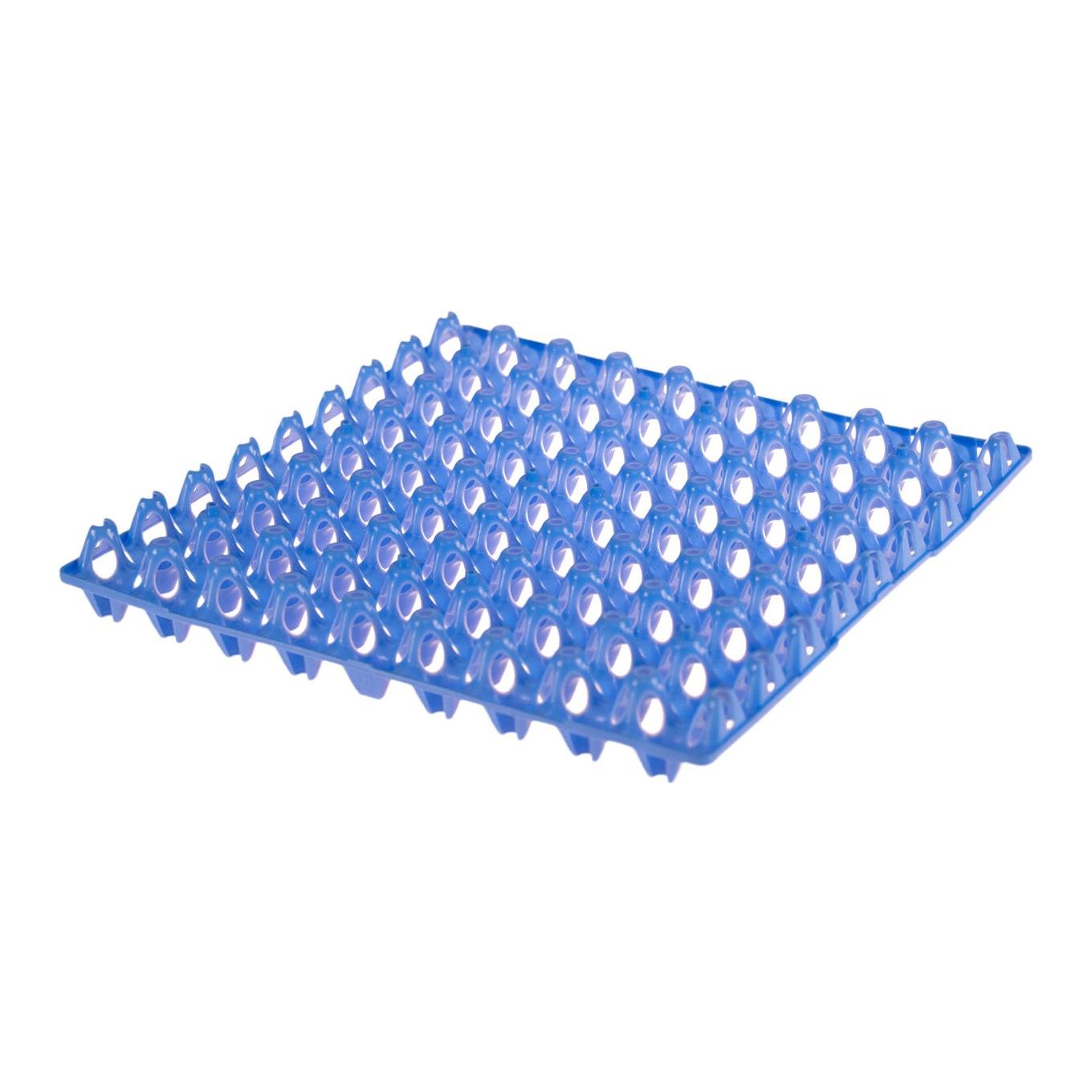 Eierhorde für 72 Wachteleier