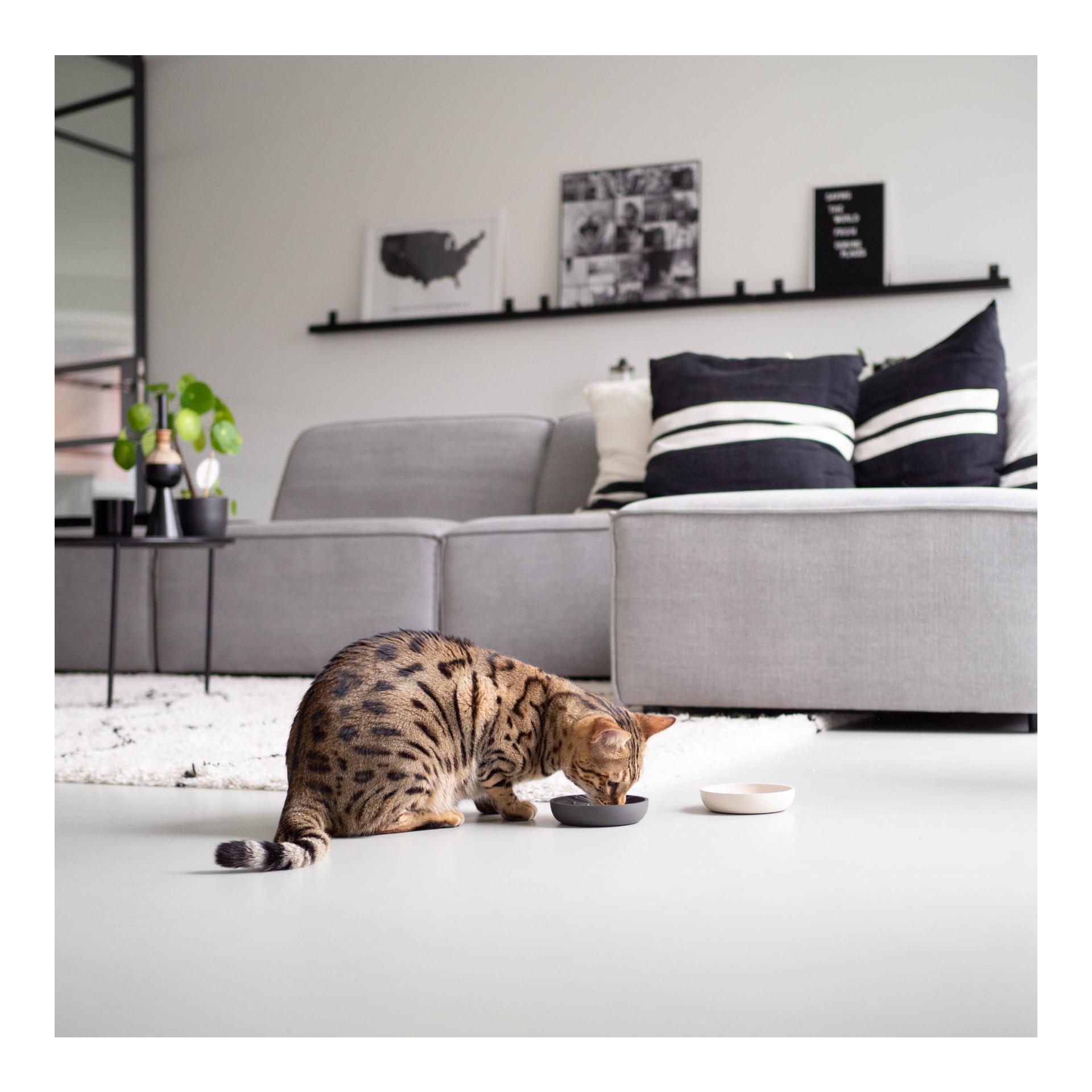 Katzennapf Bamboo Cat Bowl - dark grey 