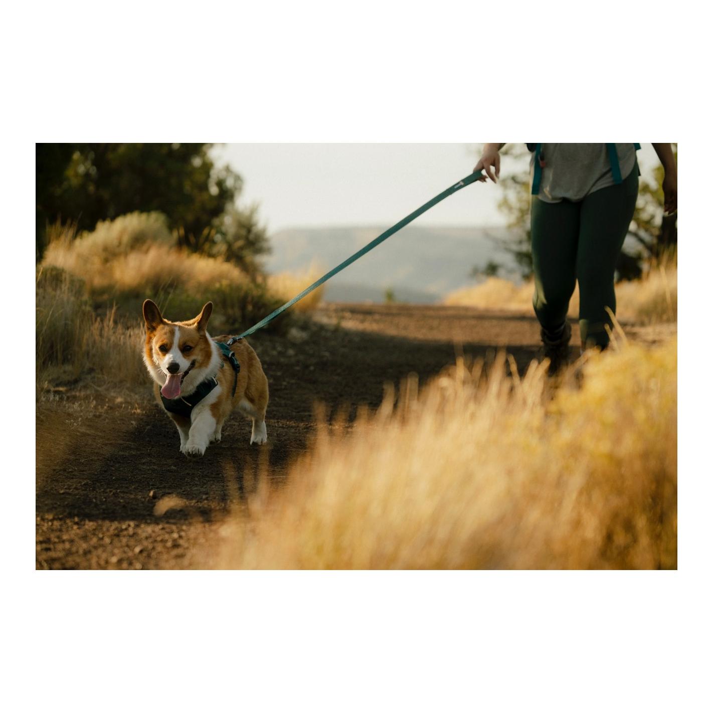 Ruffwear Front Range™ Flex Hundeleine