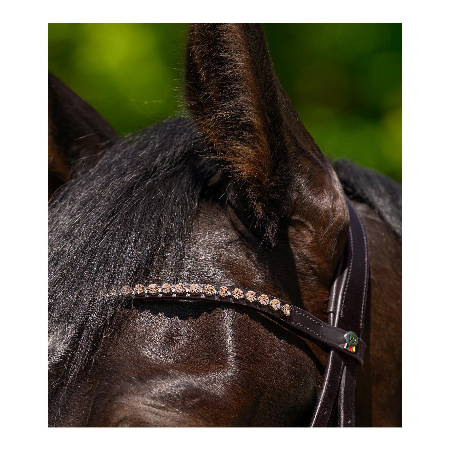 Waldhausen Stirnband Glam X-Line 