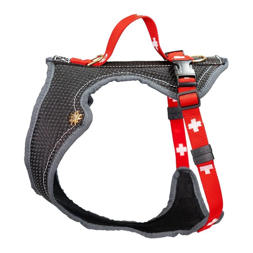 Hundegeschirr Dog`s Fun Run SWISS Edition