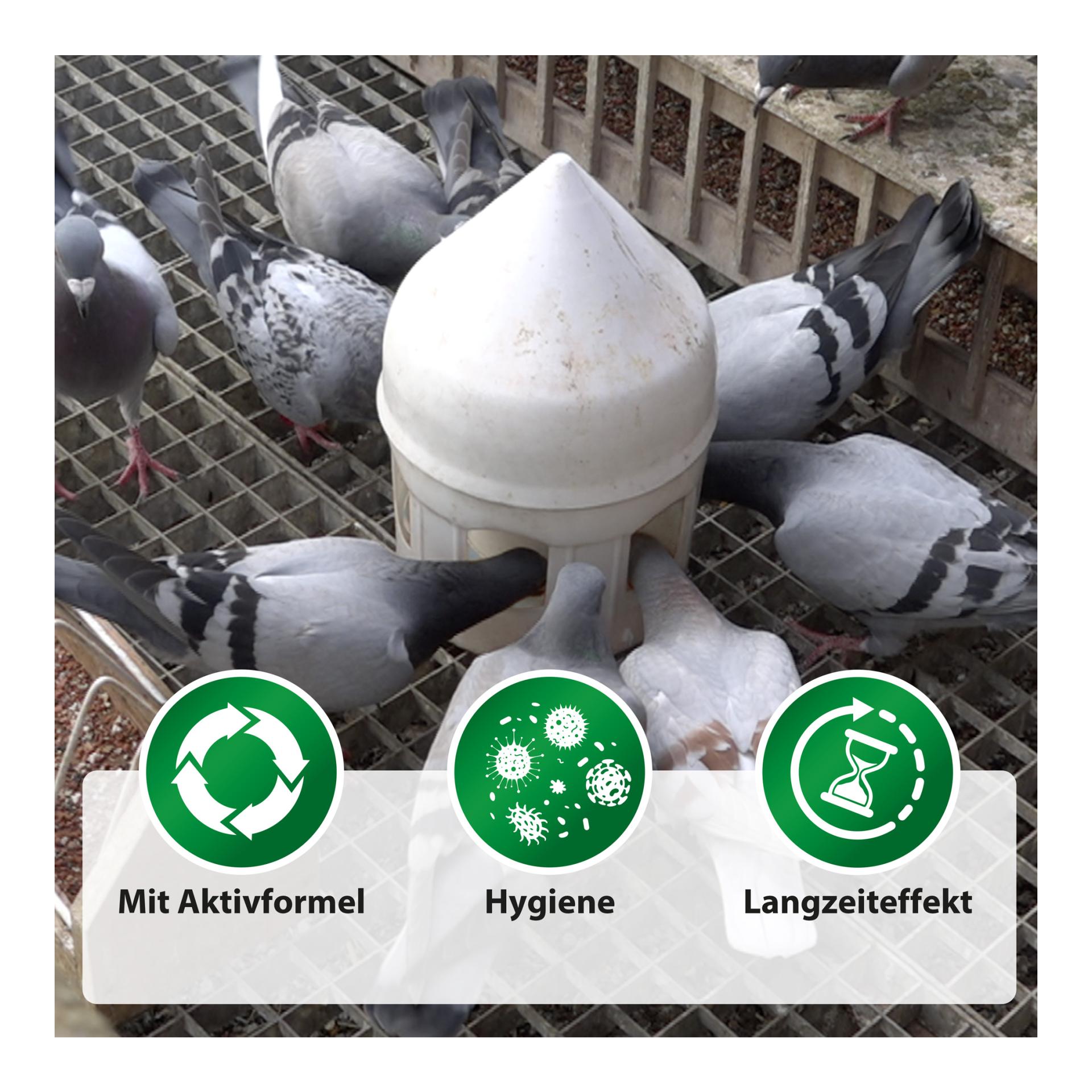 Avidress Plus - Trinkwasserhygiene und Trichomonadenvorbeuge