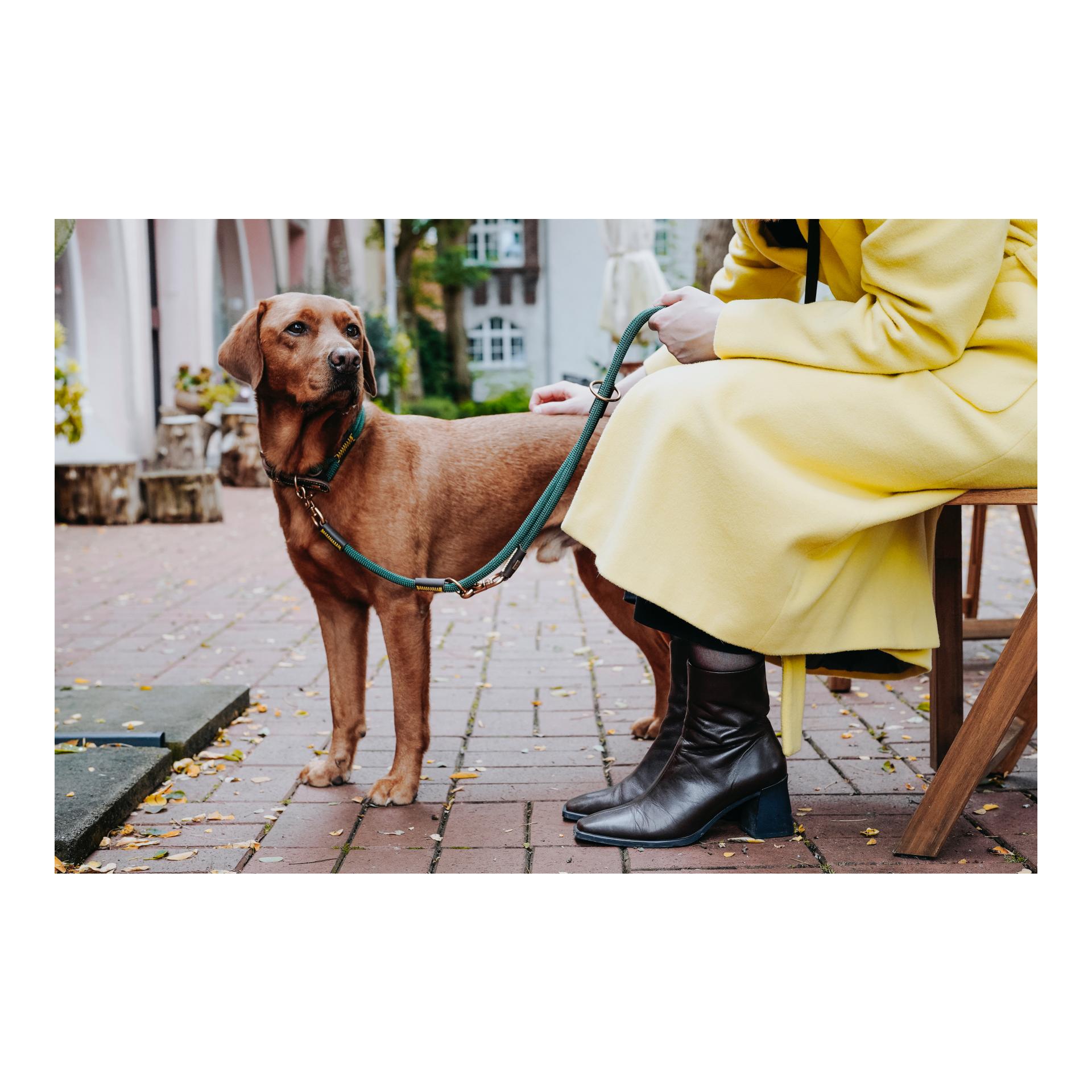 Verstellbare Leine Malia