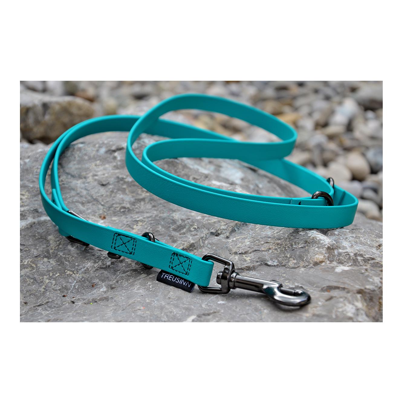 Laisse pour chien Biothane STAY - pétrole