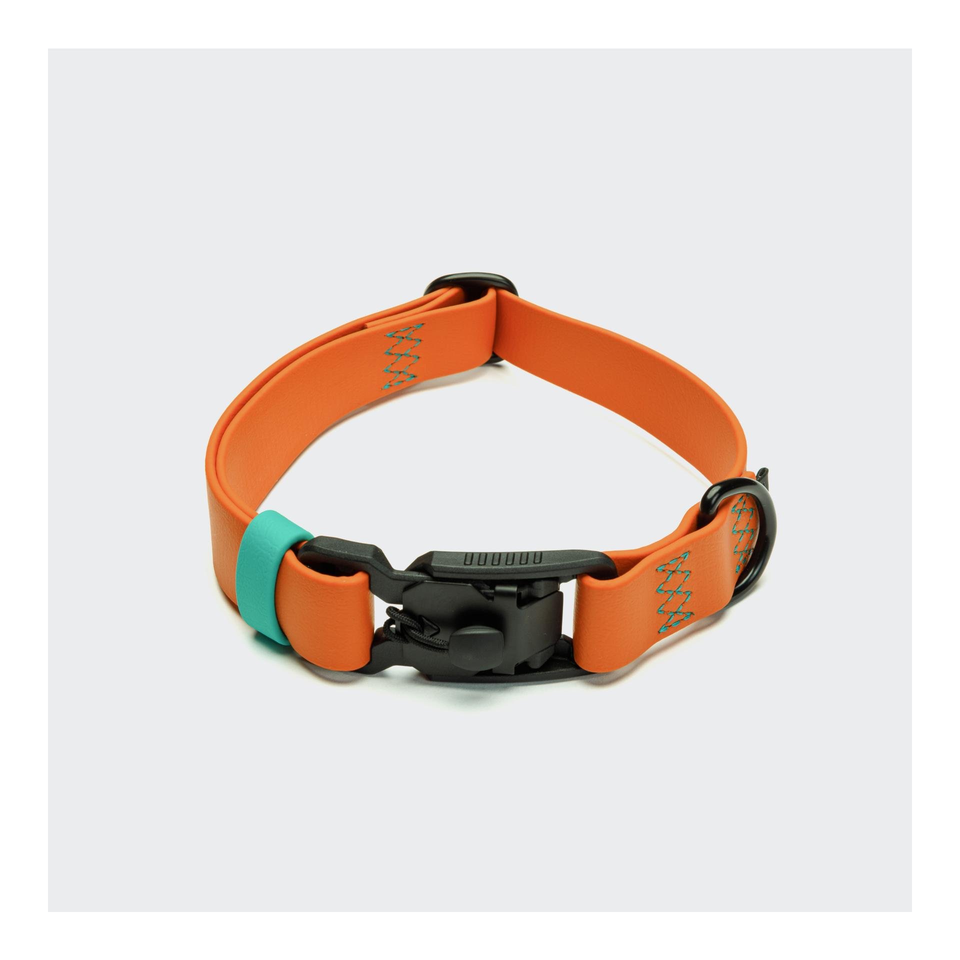 Collier de chien Biothane Ipanema