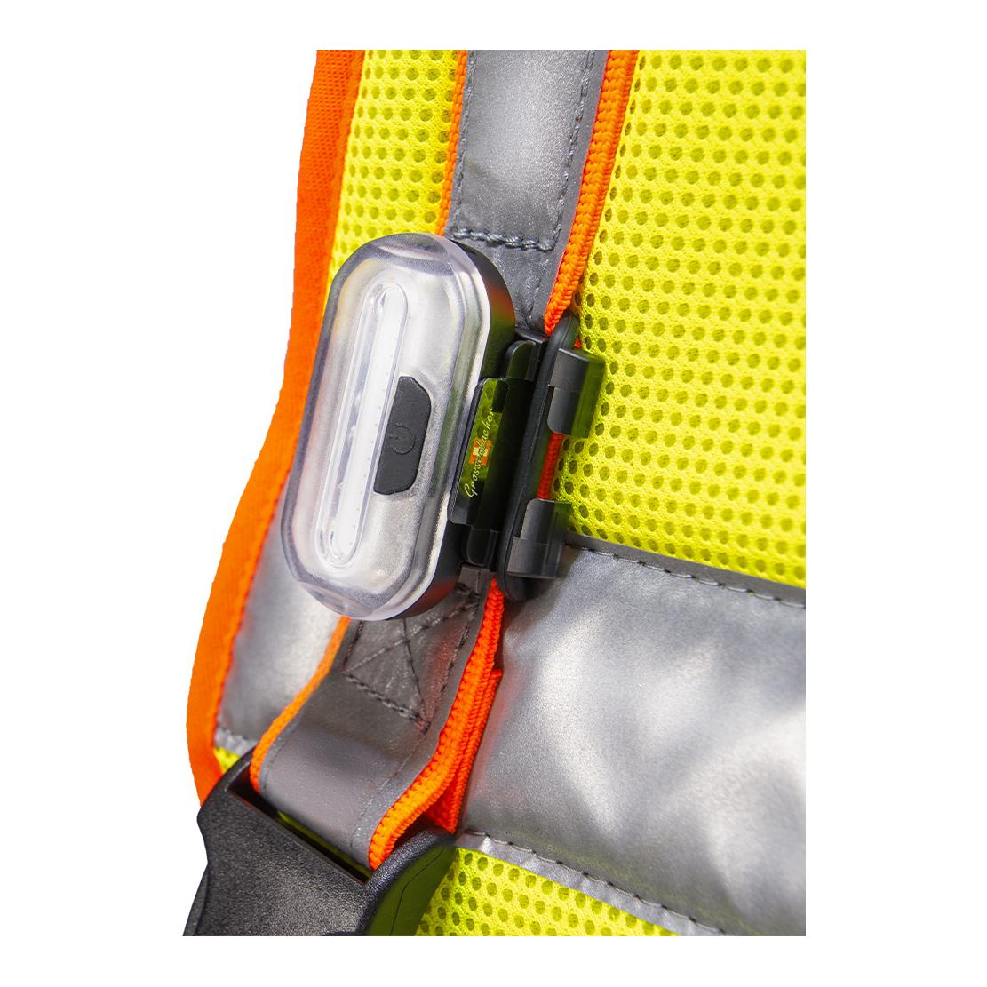 Hundeleuchtdecke Balou Profi  mit Led Lampen