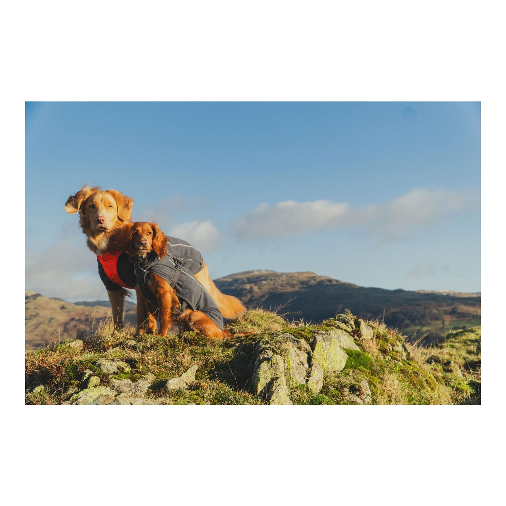 Climate Changer™ Fleece Jacket