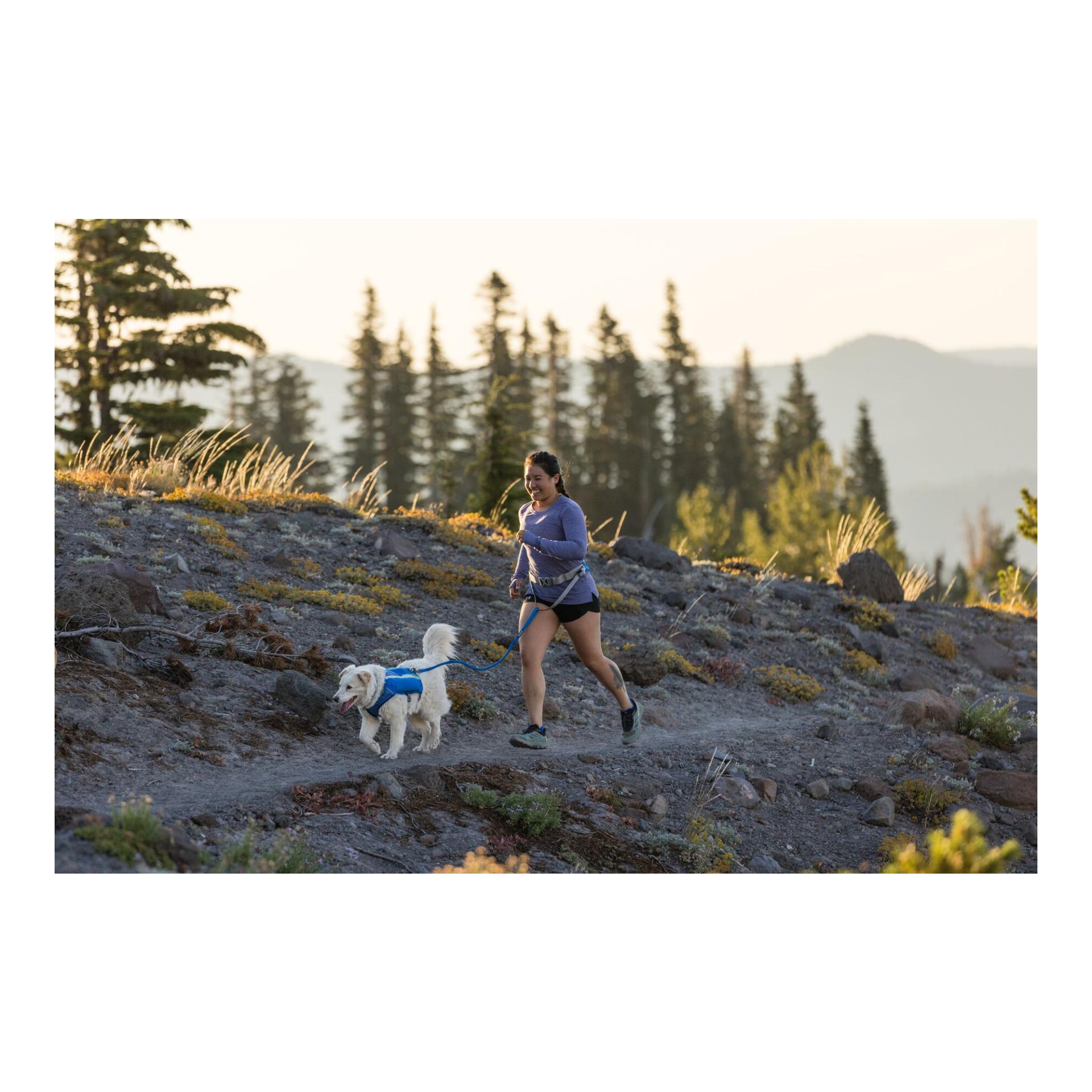 Trail Runner™ Leash Joggingleine