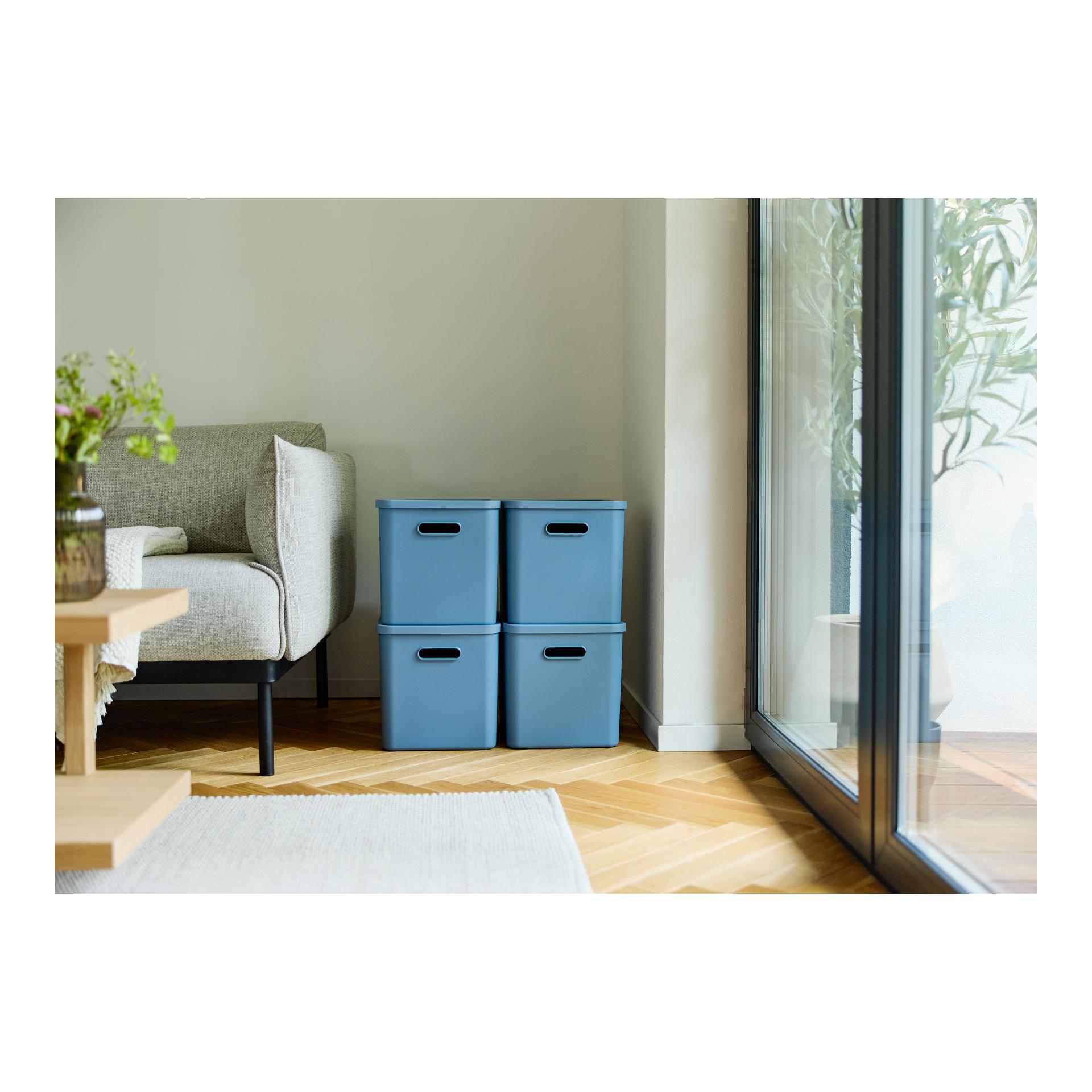 Rotho Multibox ALBULA