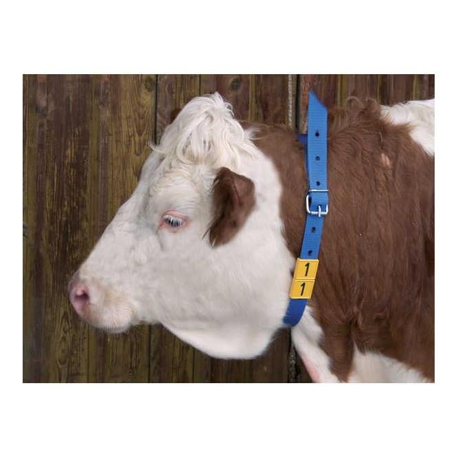 Ruban de marquage avec boucle-rouleau - bleu