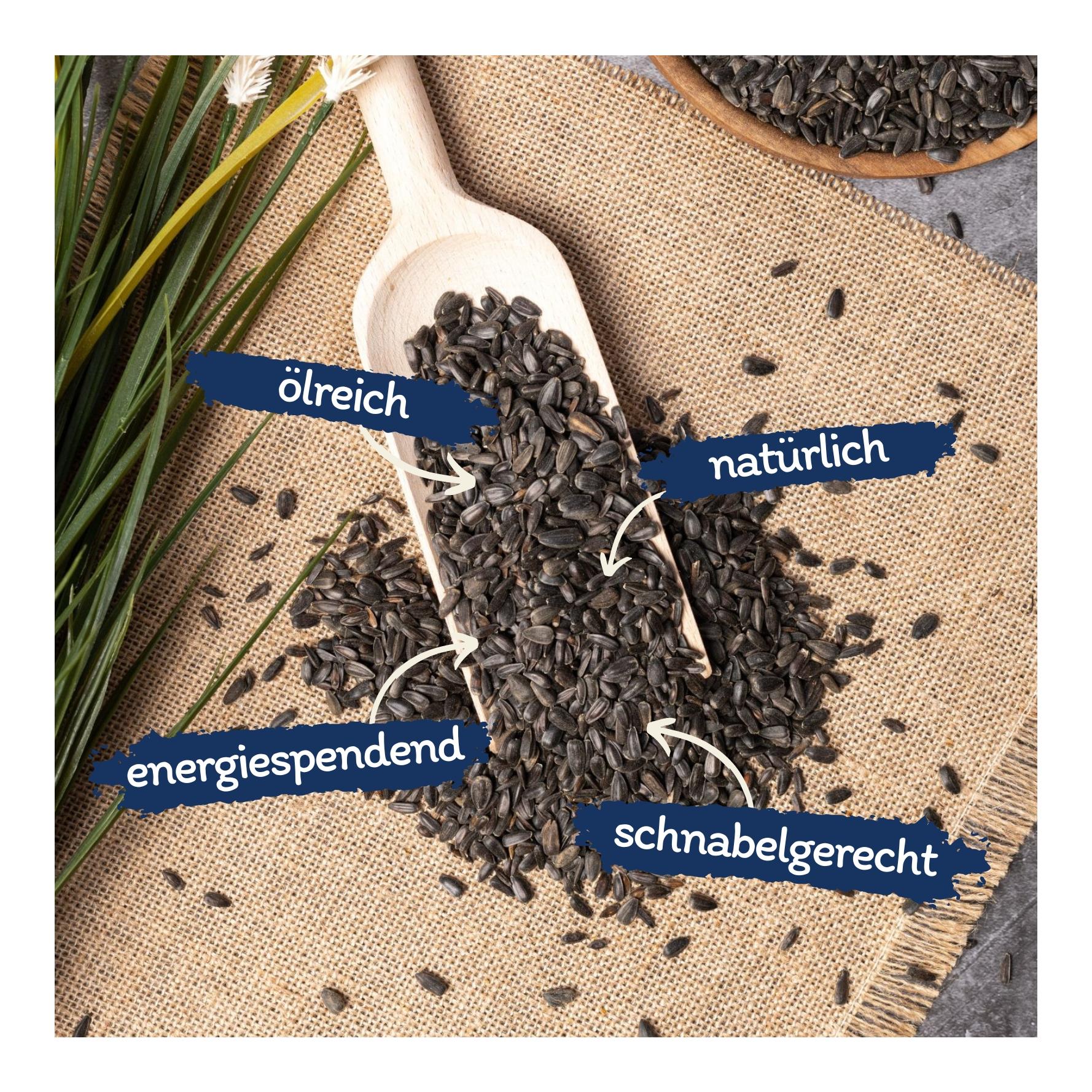 Sonnenblumenkerne schwarz