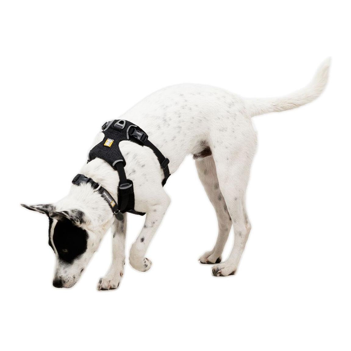 Ruffwear Front Range® Flex Hundegeschirr