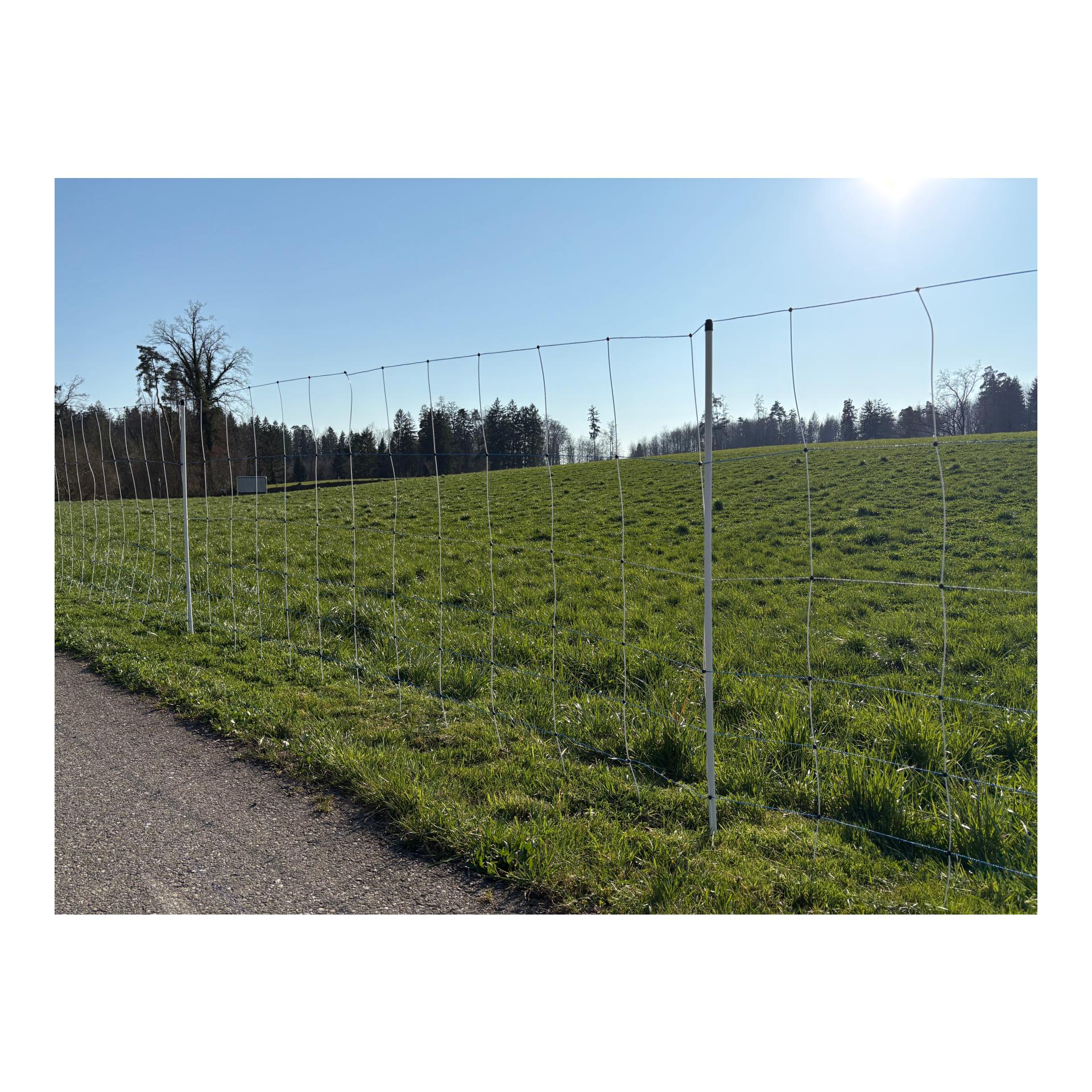 Hauptner Weidenetz Alpin Wild - Doppelspitz