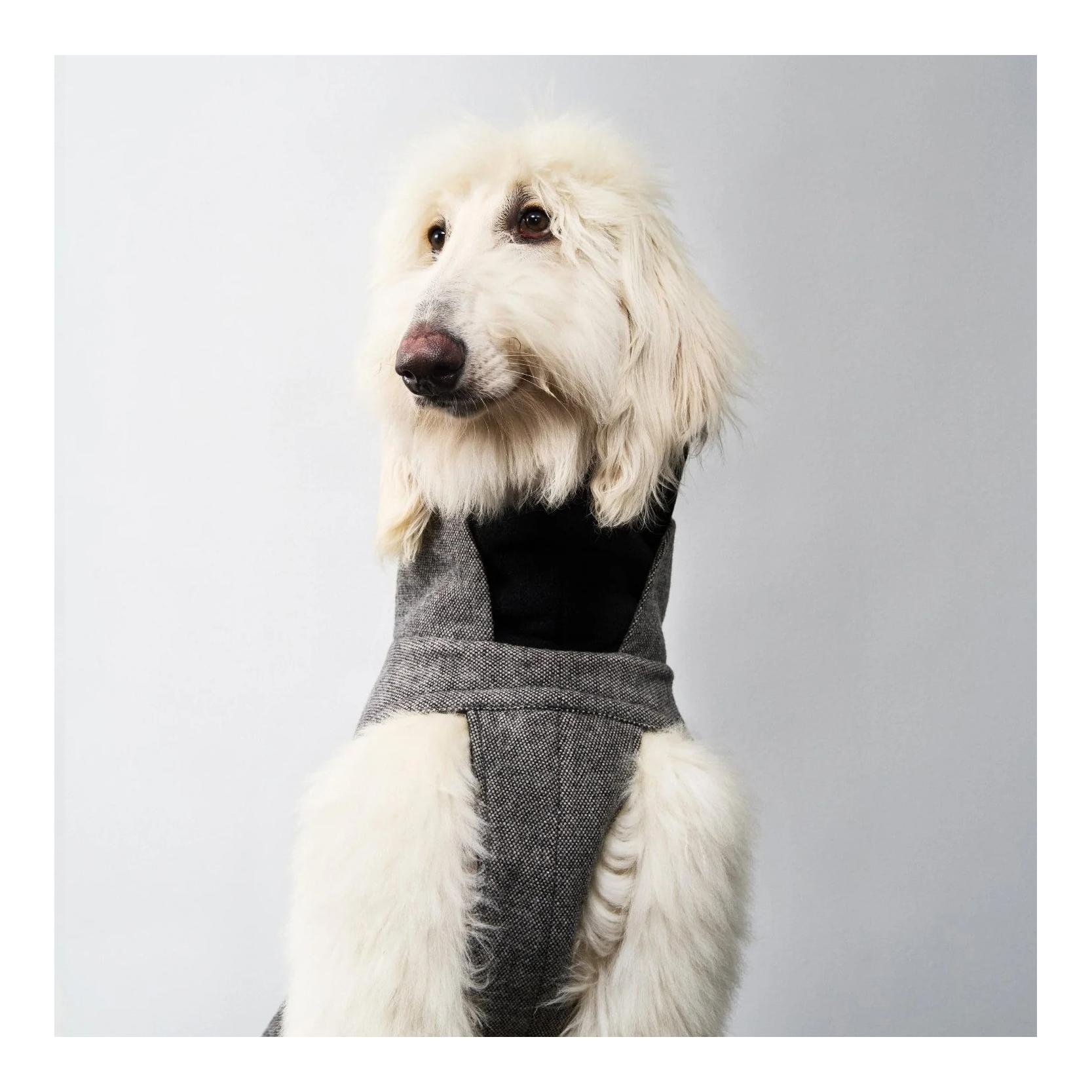 Winter Hundemantel Brooklyn long Windhund