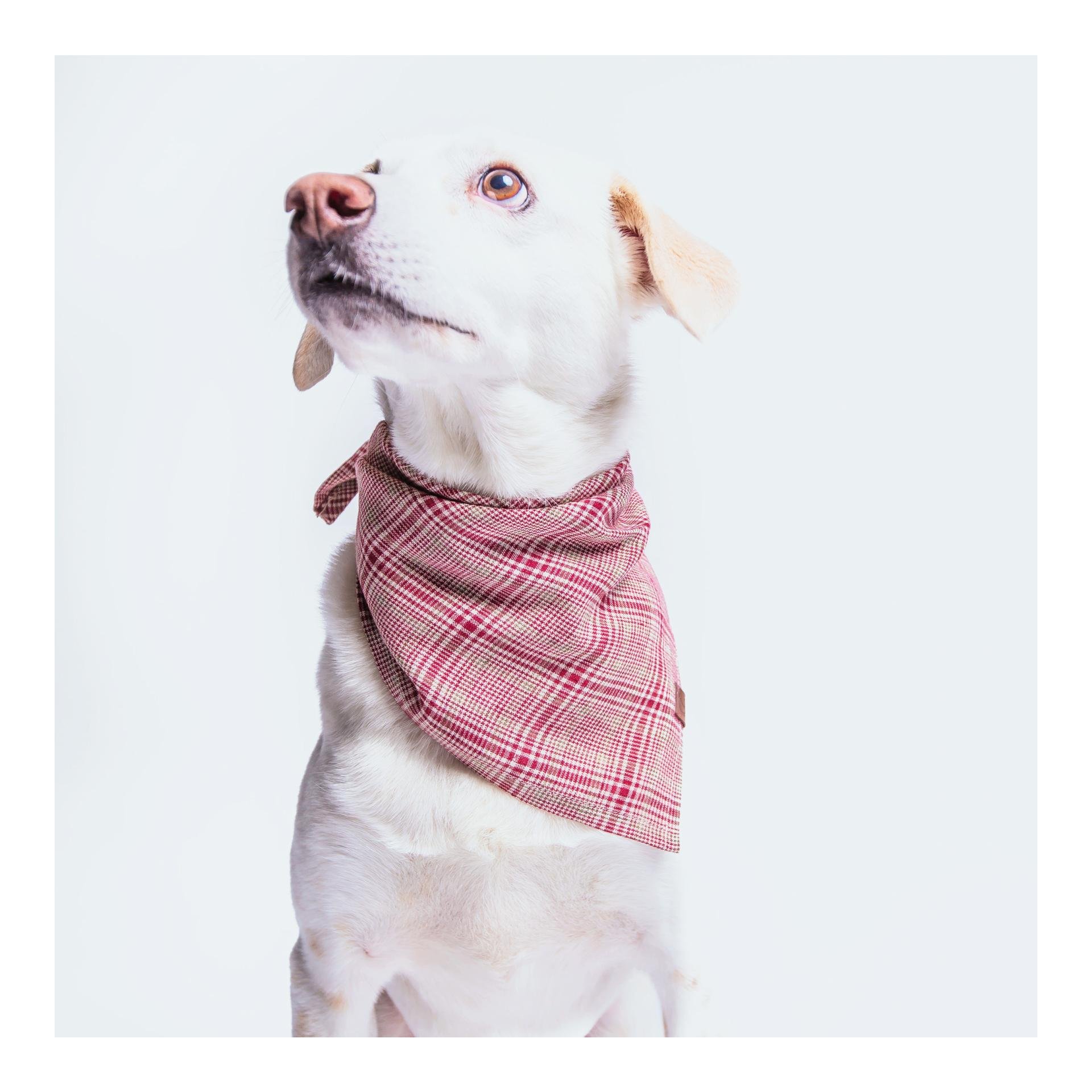 Bandana Check - rouge