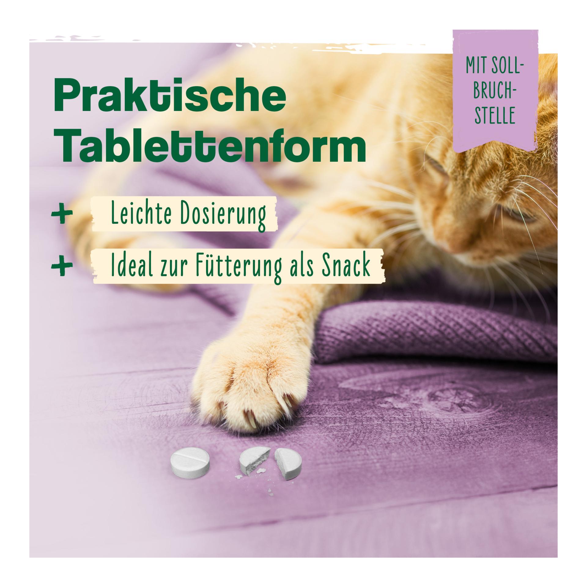 IdaPlus Bierhefe Tabletten - optimale Pflege für glänzendes Fell & kräftige Haut